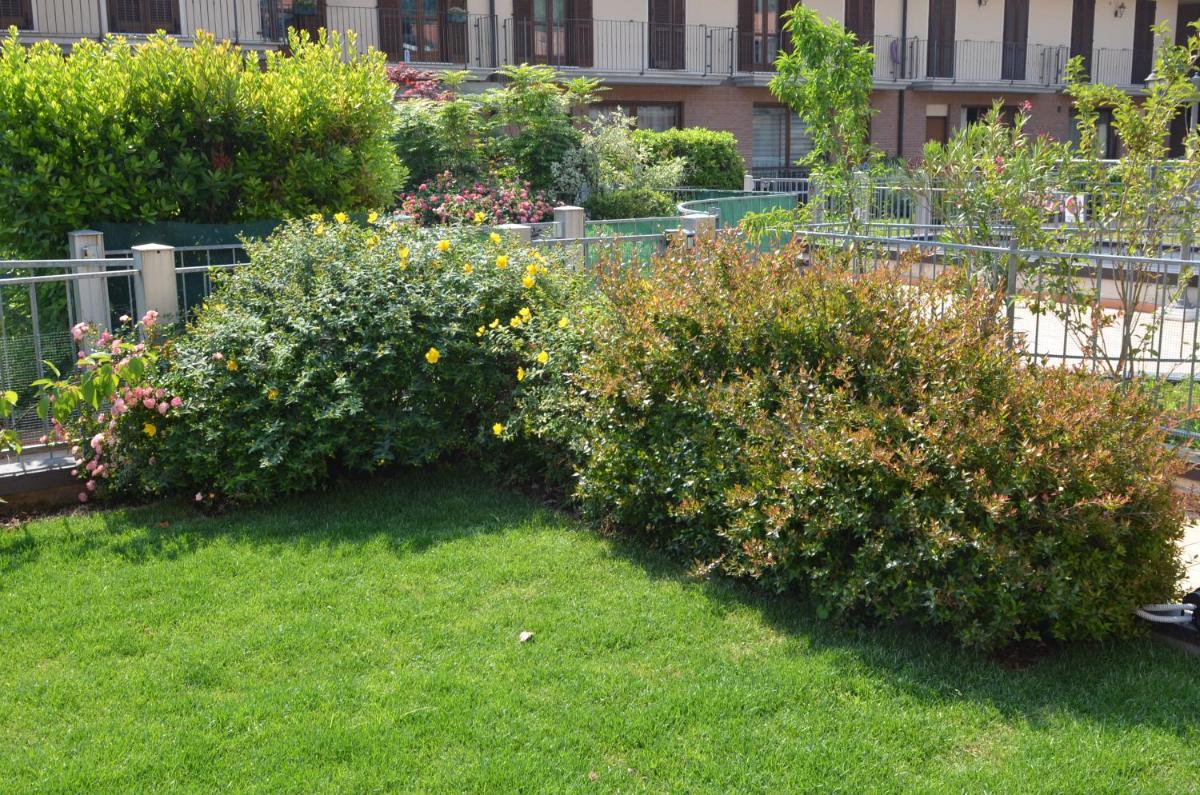 Corte Dei Cipressi apartments