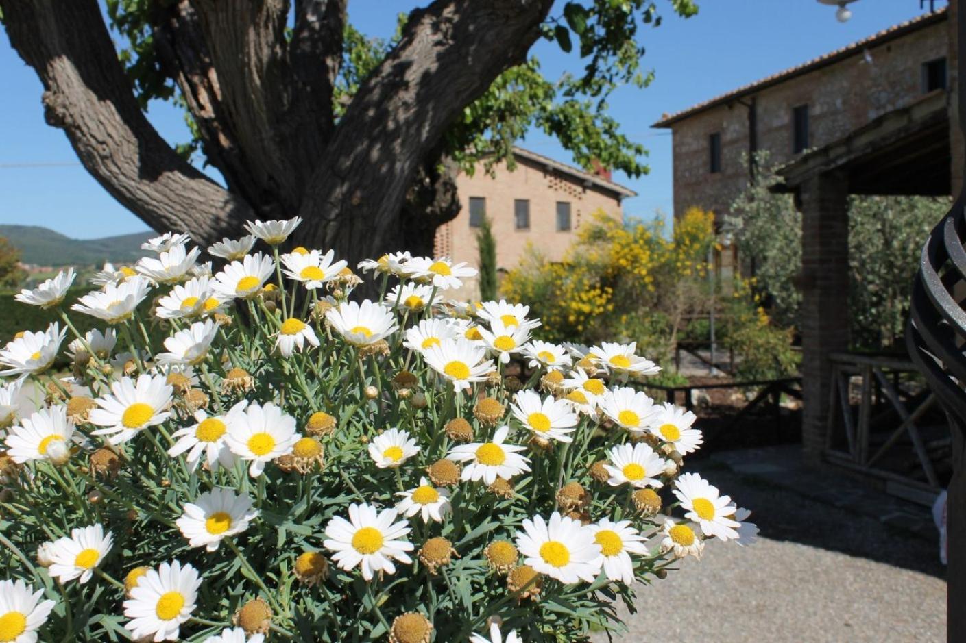 Casa Di Campagna In Toscana