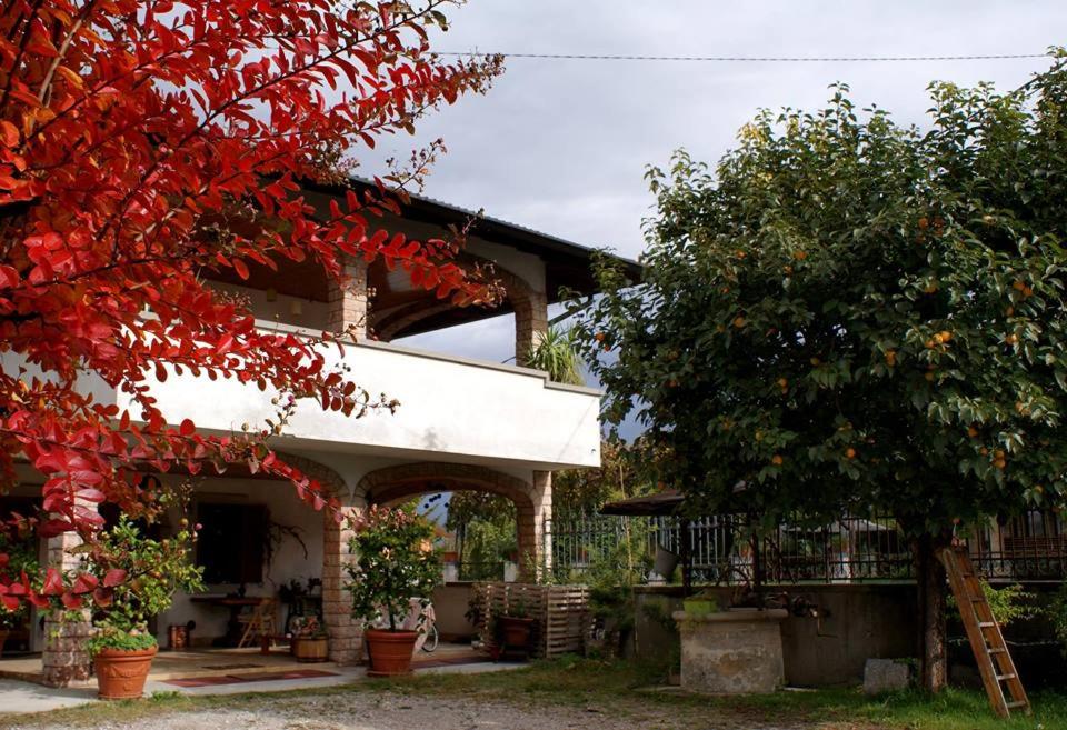 Photo 41