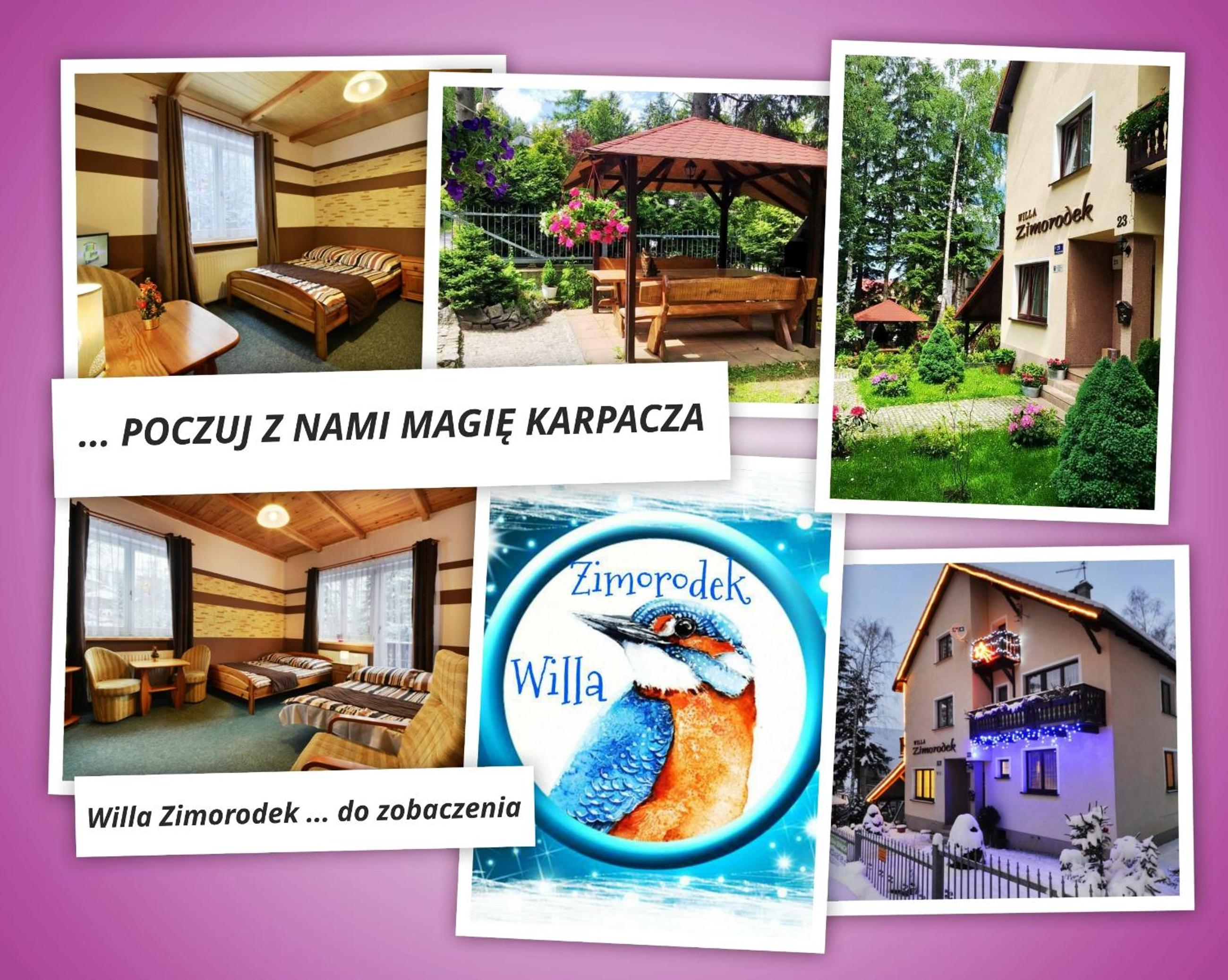 Photo 51