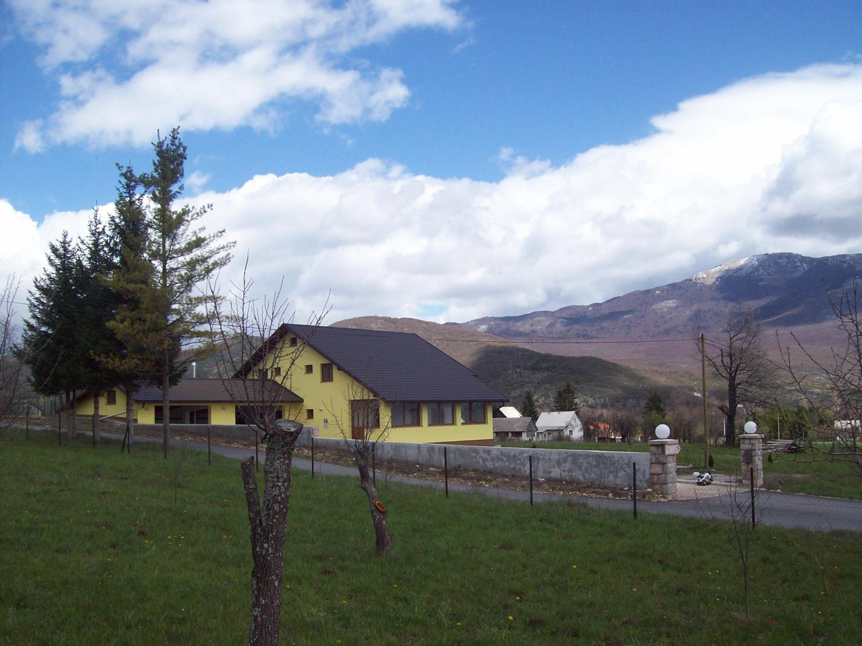 Photo 8
