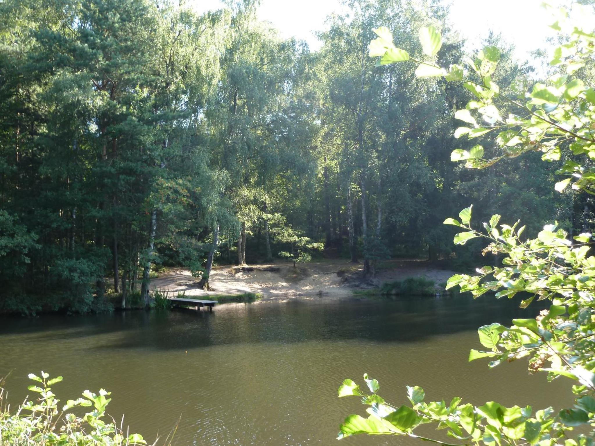 Photo 19
