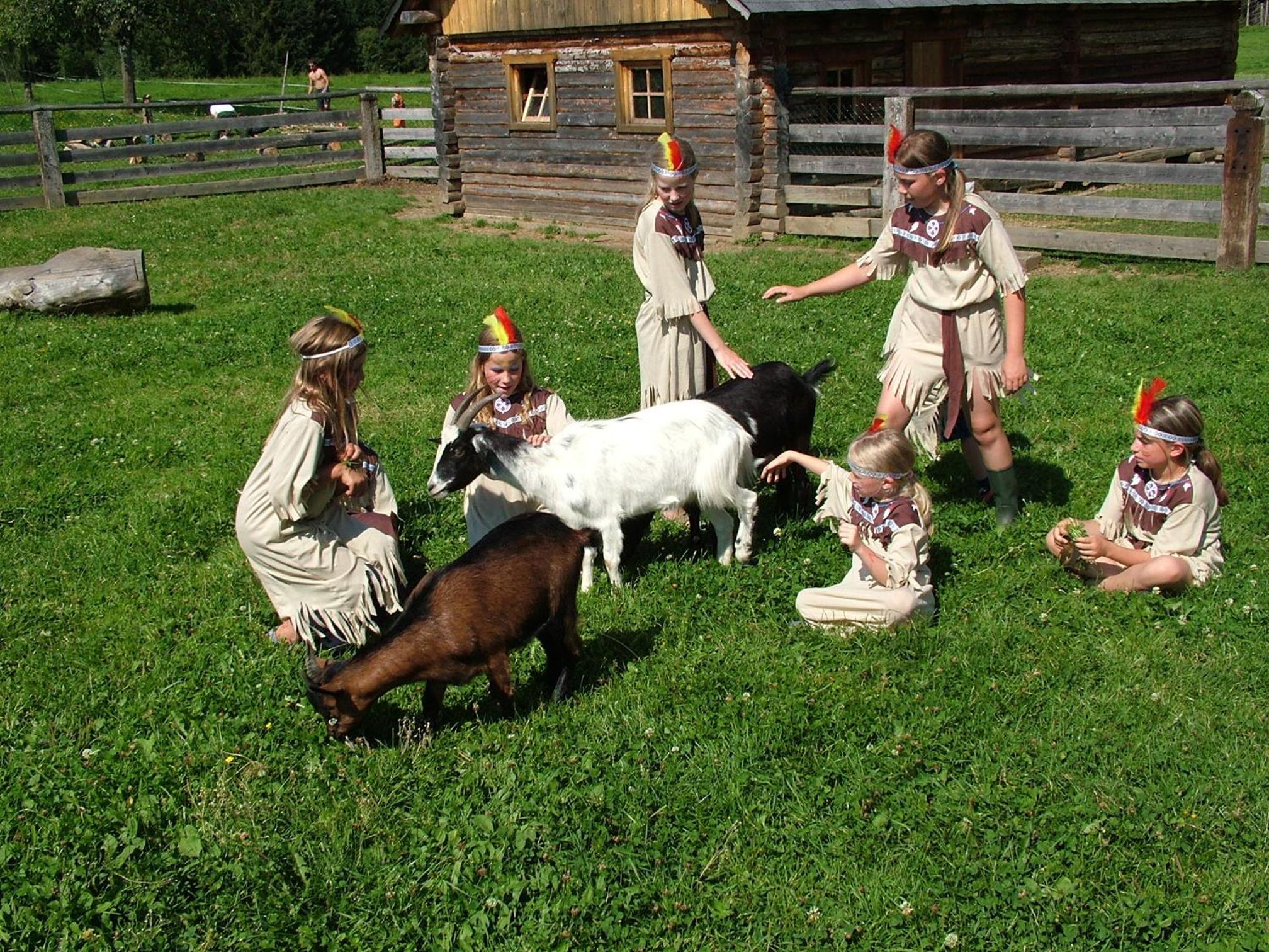 Pension Pürcherhof