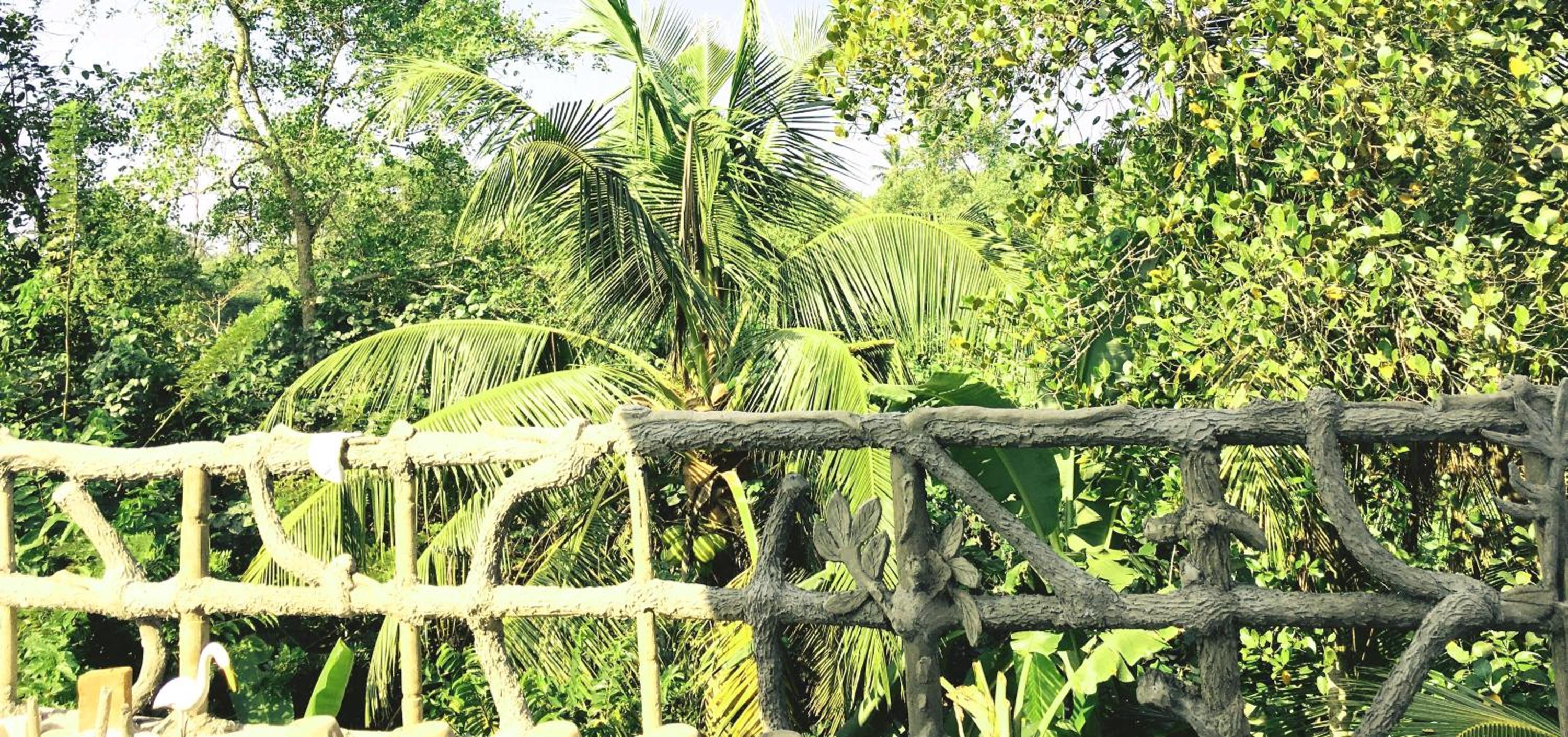 Galle Paradise Inn