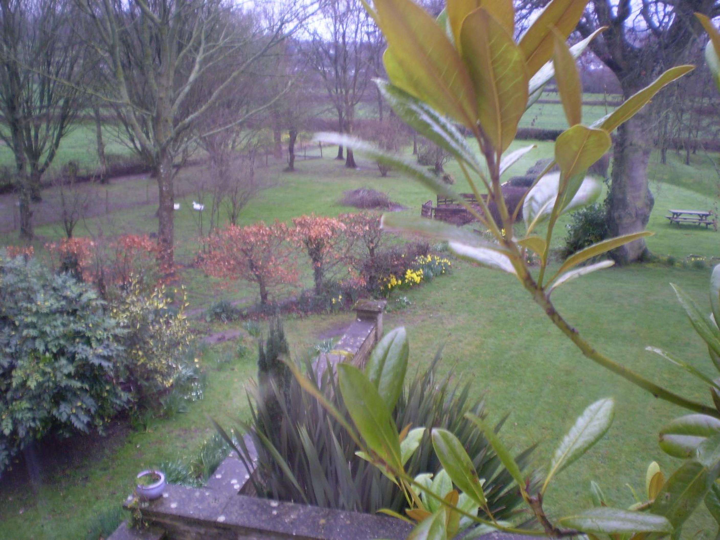 Buckley Farmhouse Bed and Breakfast