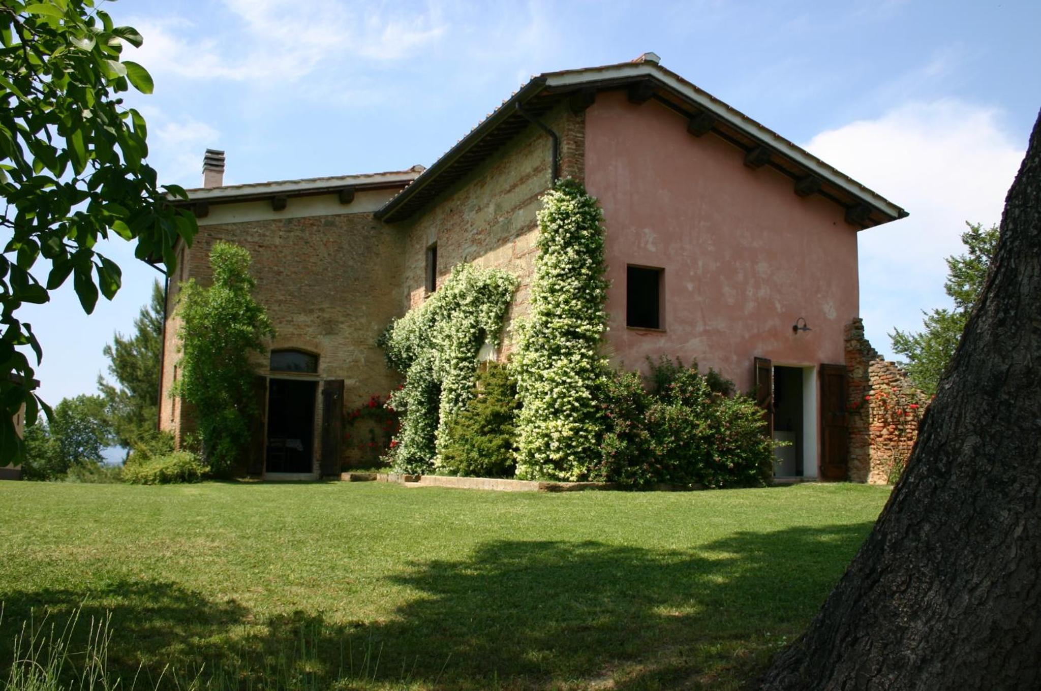 Photo 26