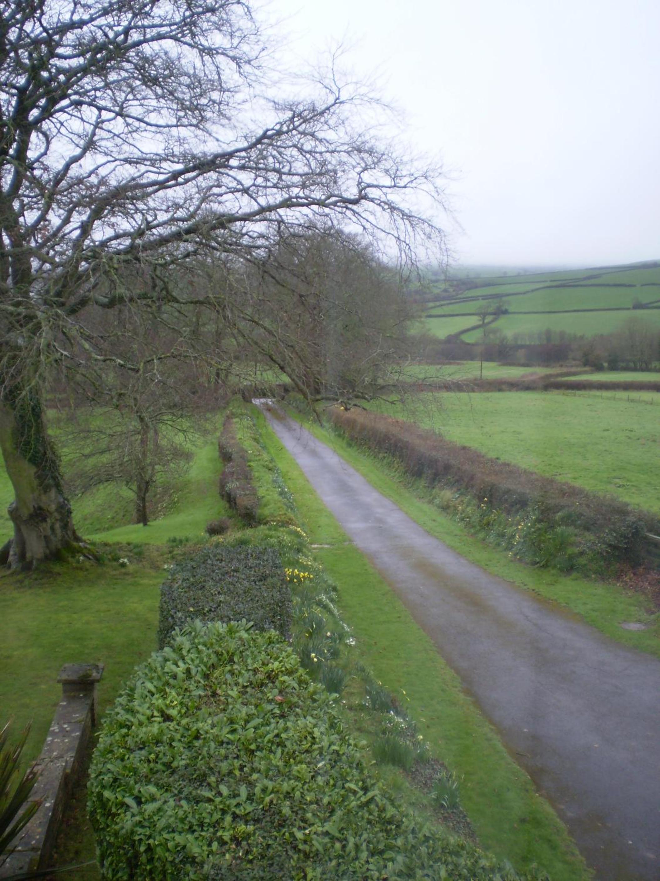 Buckley Farmhouse Bed and Breakfast