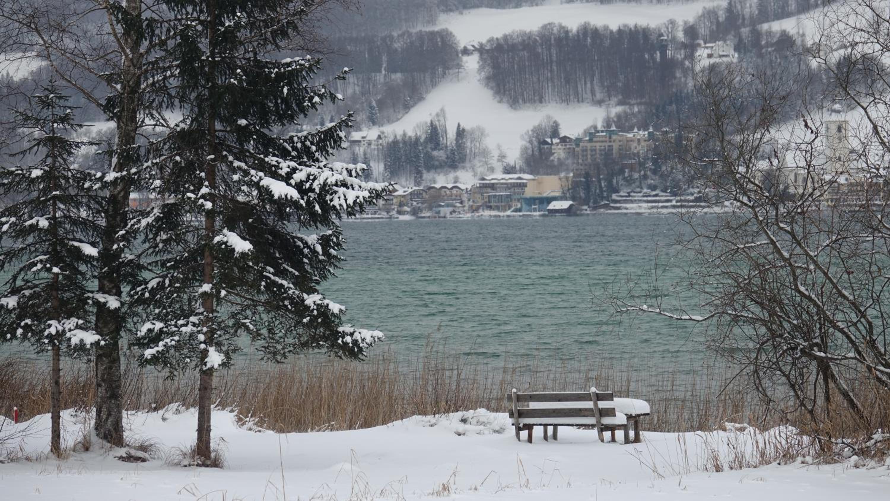 Lake View Apartment
