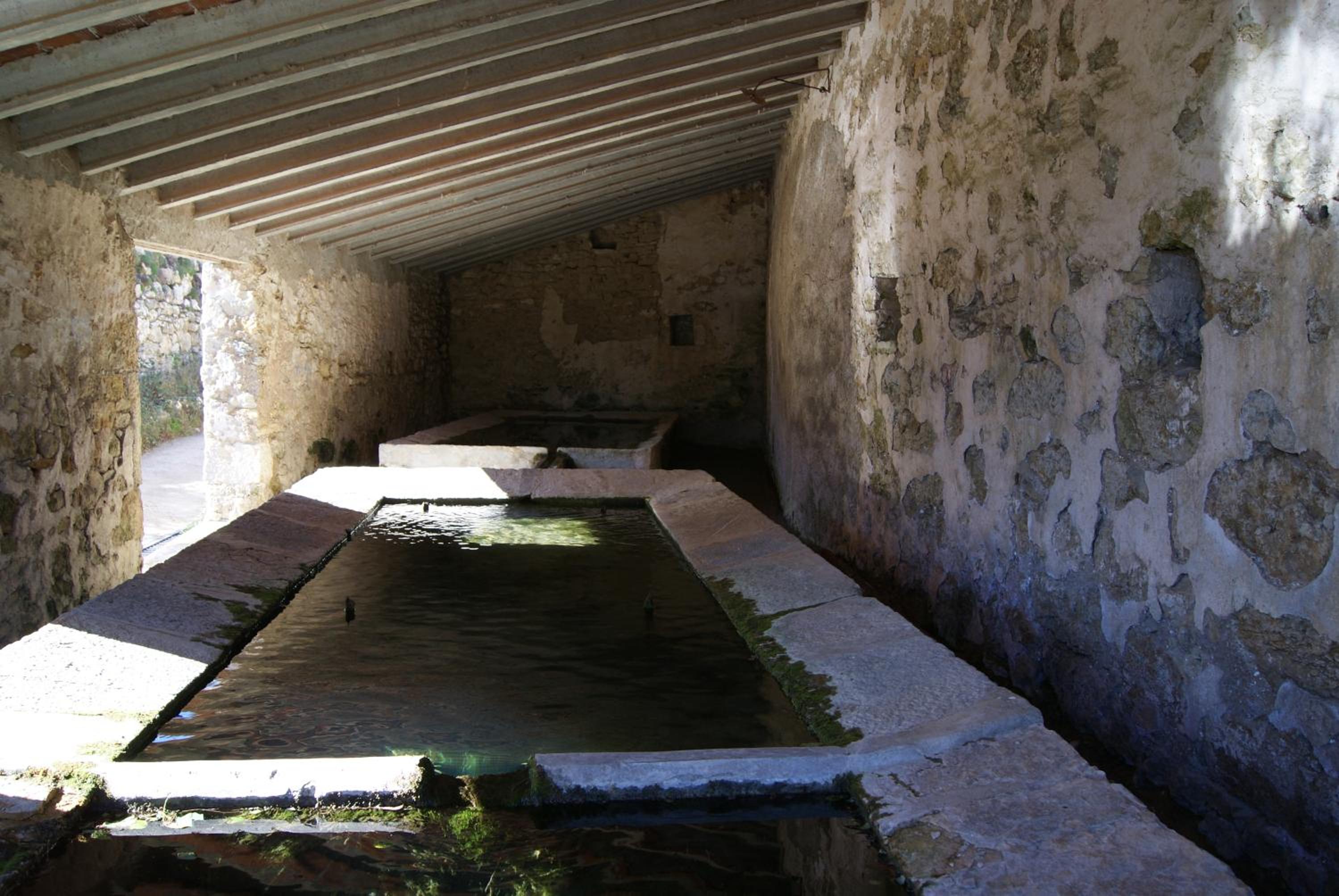 Photo 47