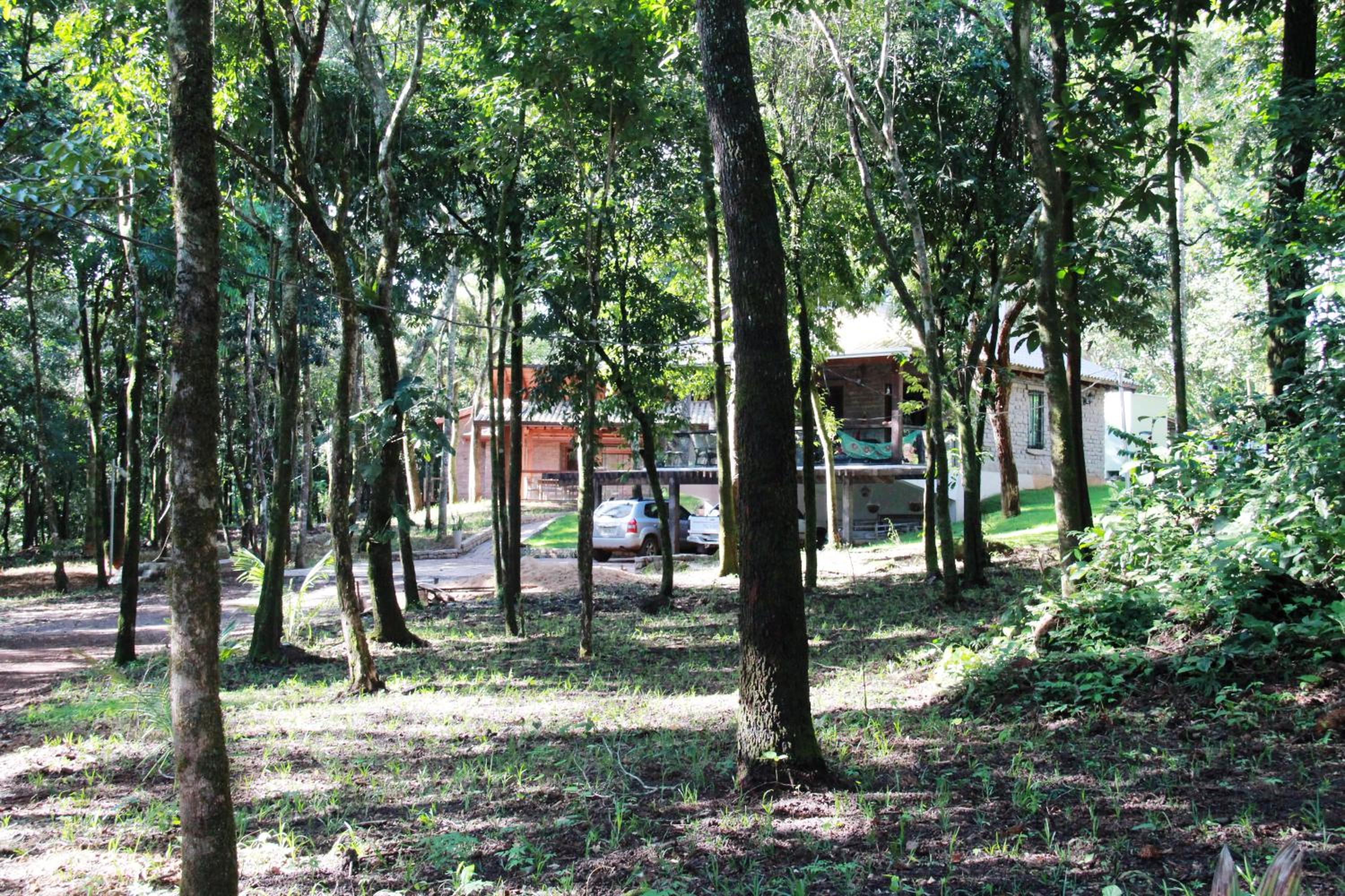 Bosque São Francisco