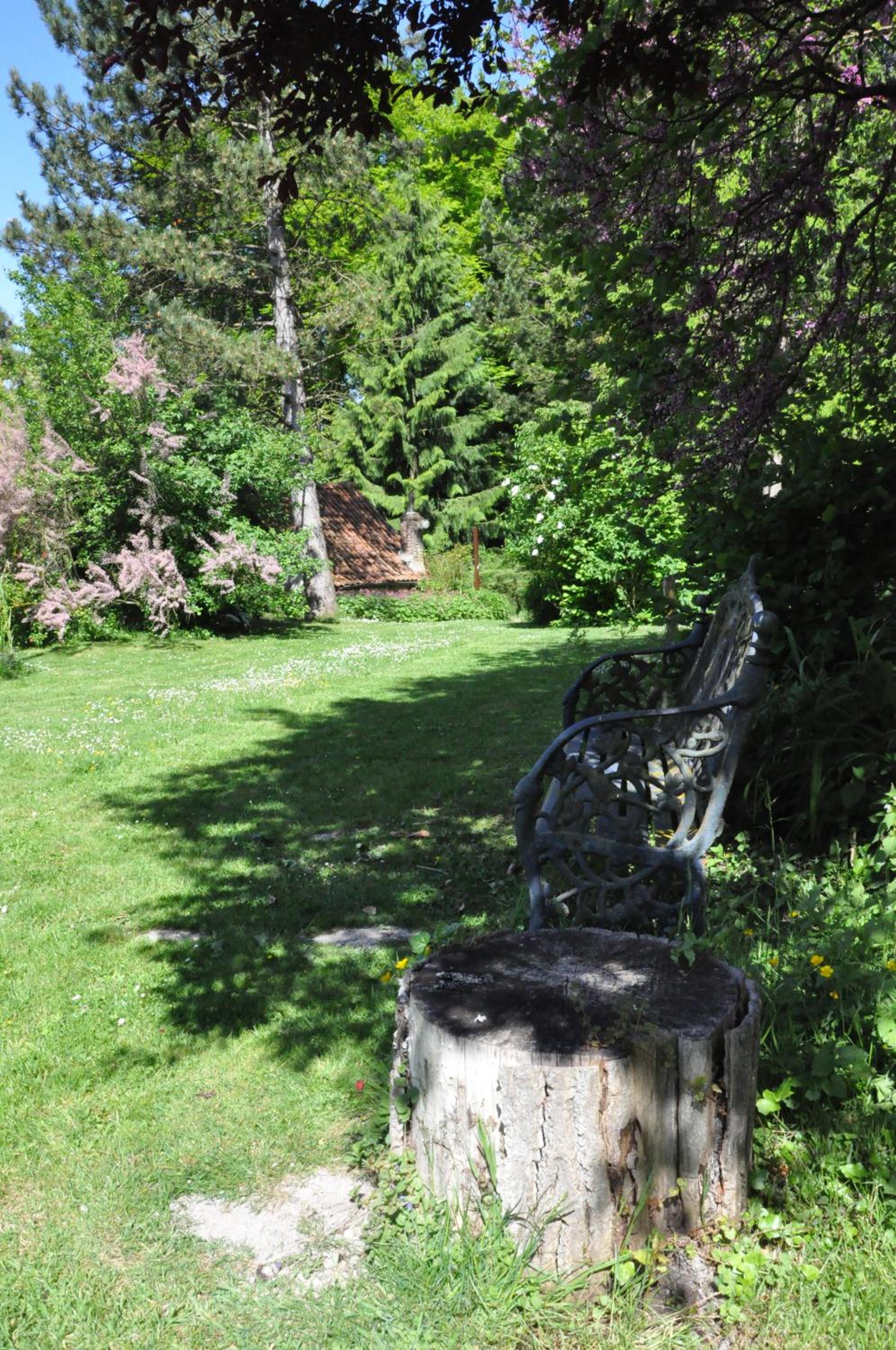 Photo 11