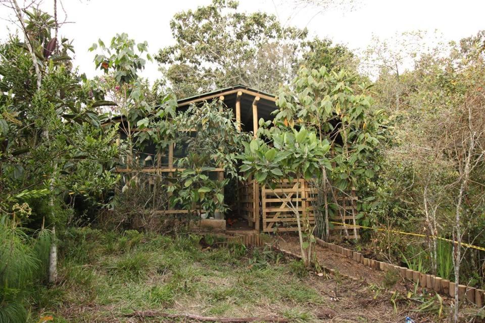 Monte Helicón Ecolodge and Spa
