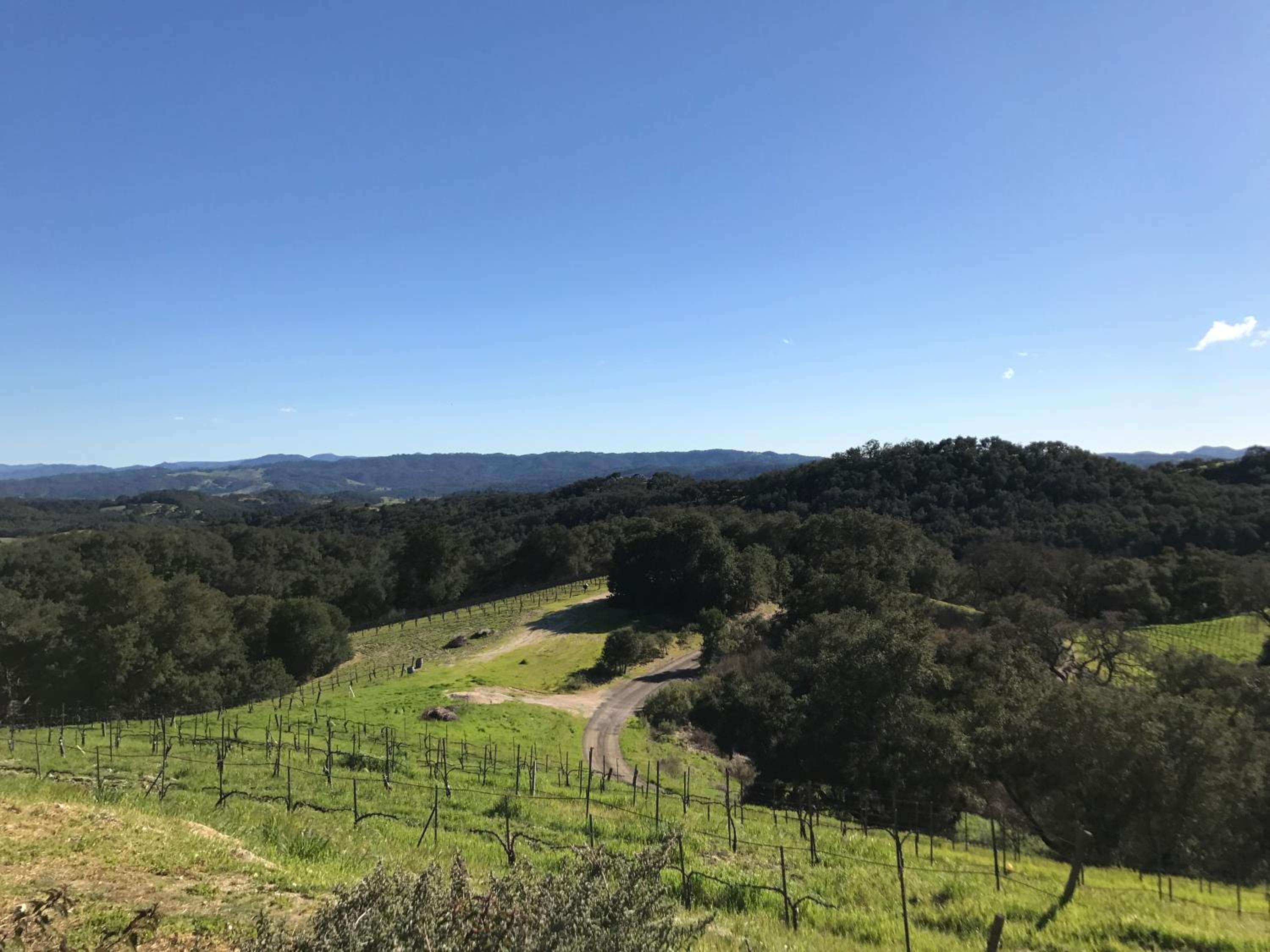 Dunning Vineyards Guest Villa view 3