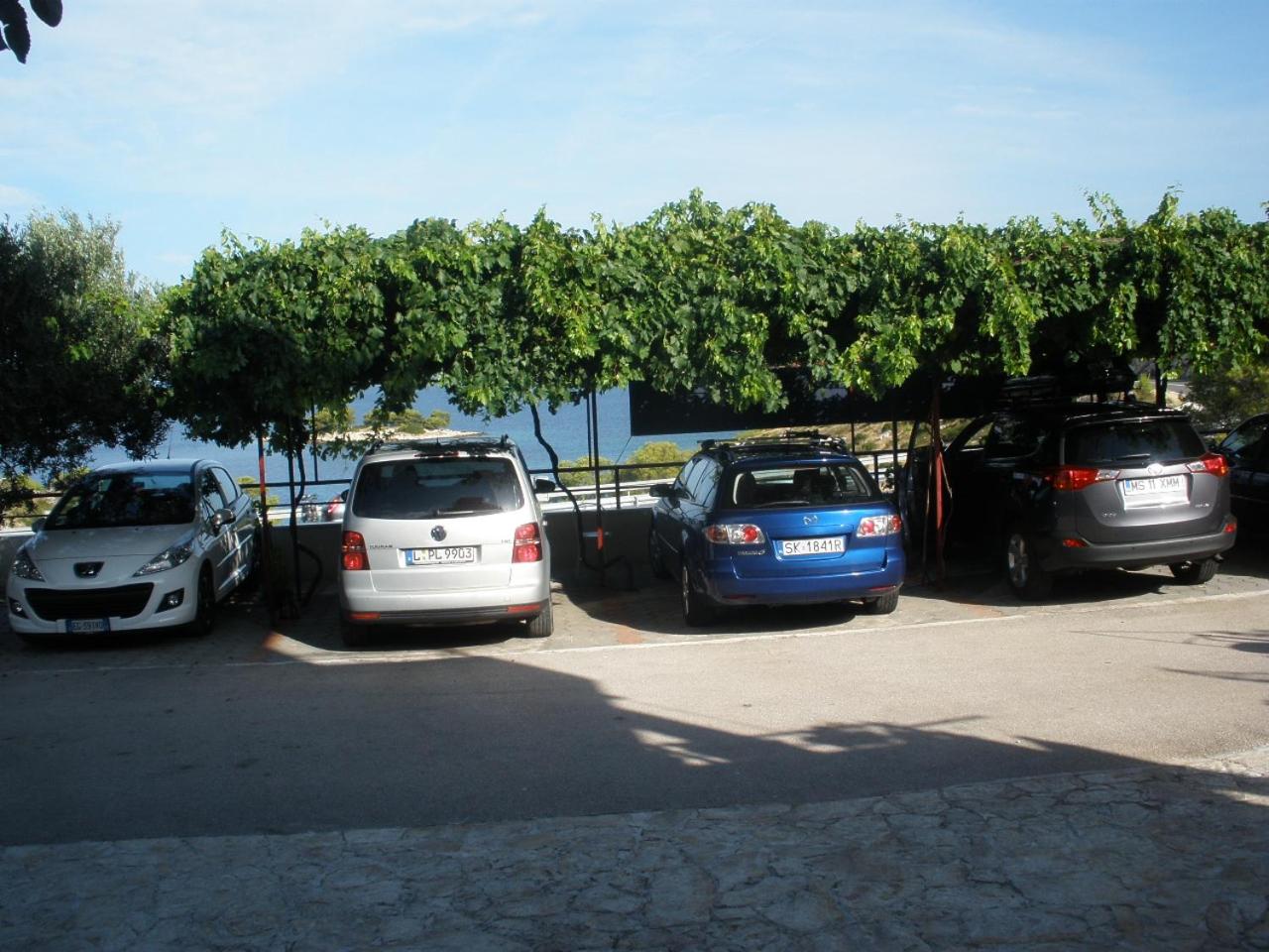 Photo 26
