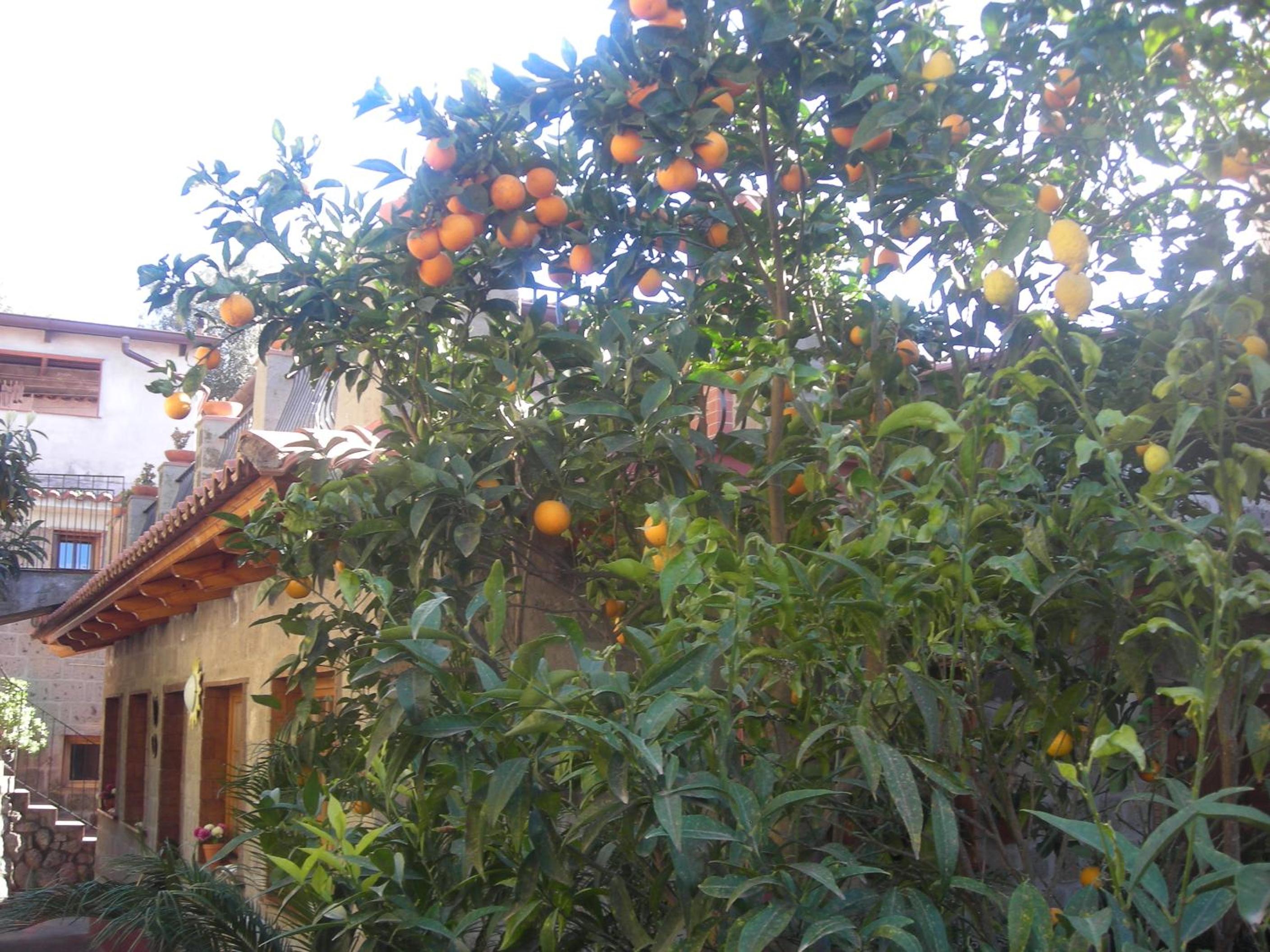 B&B L'Arcobaleno view 5