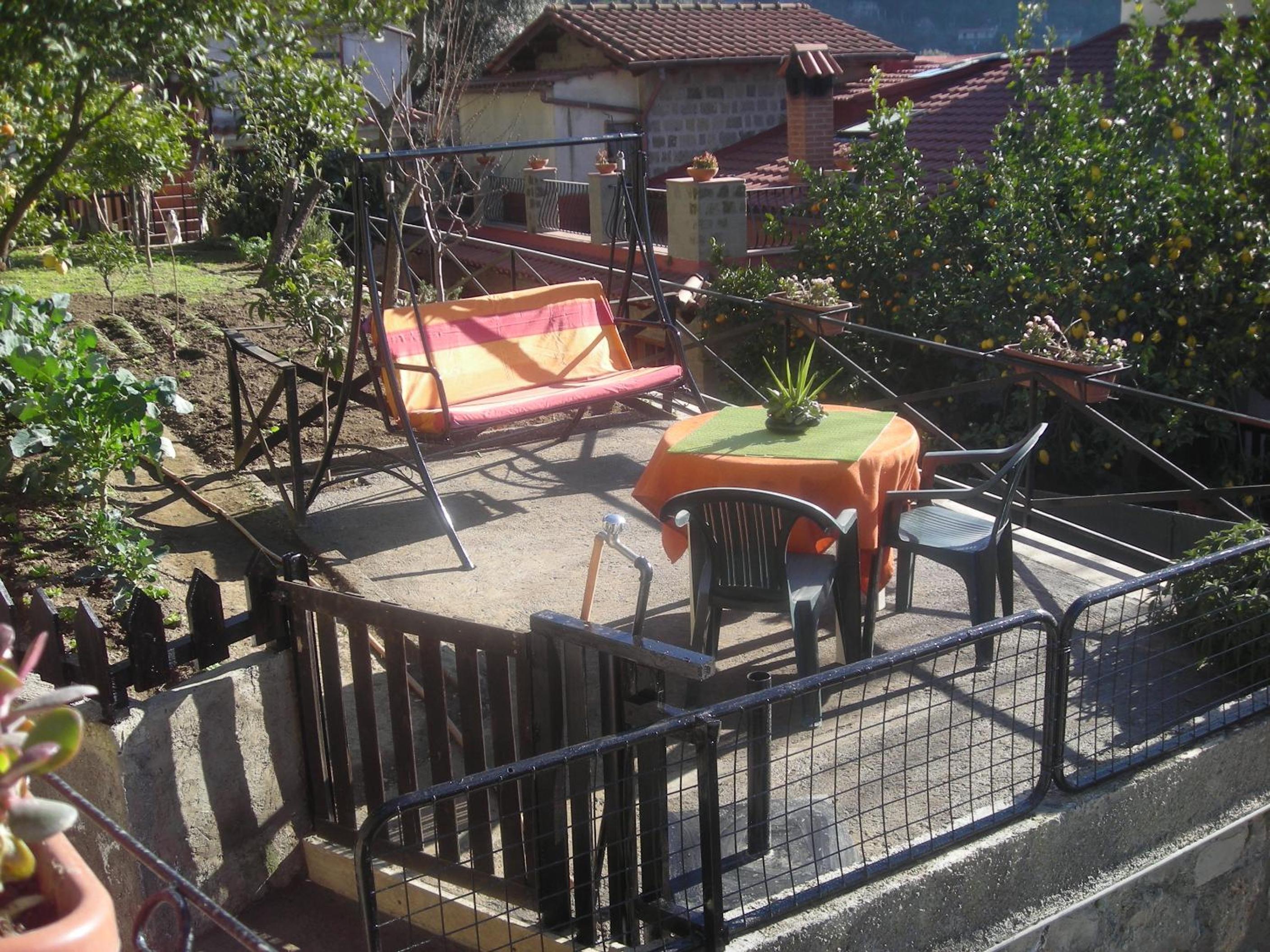 Photo 10