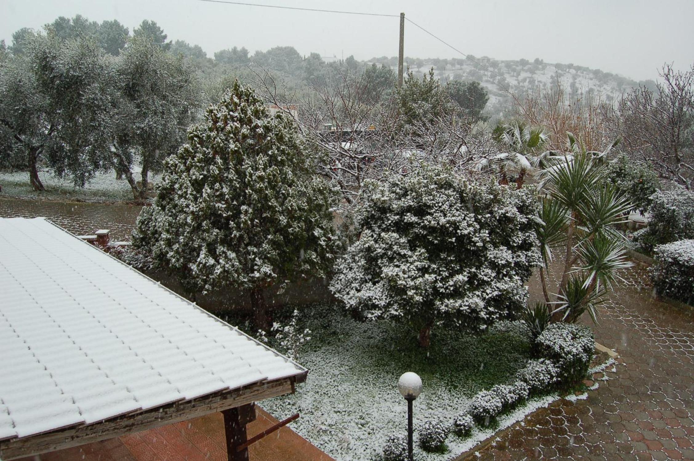 Photo 47