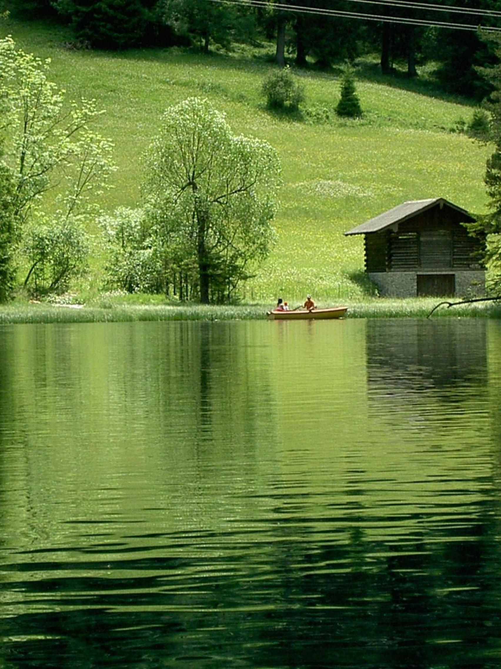 Photo 50