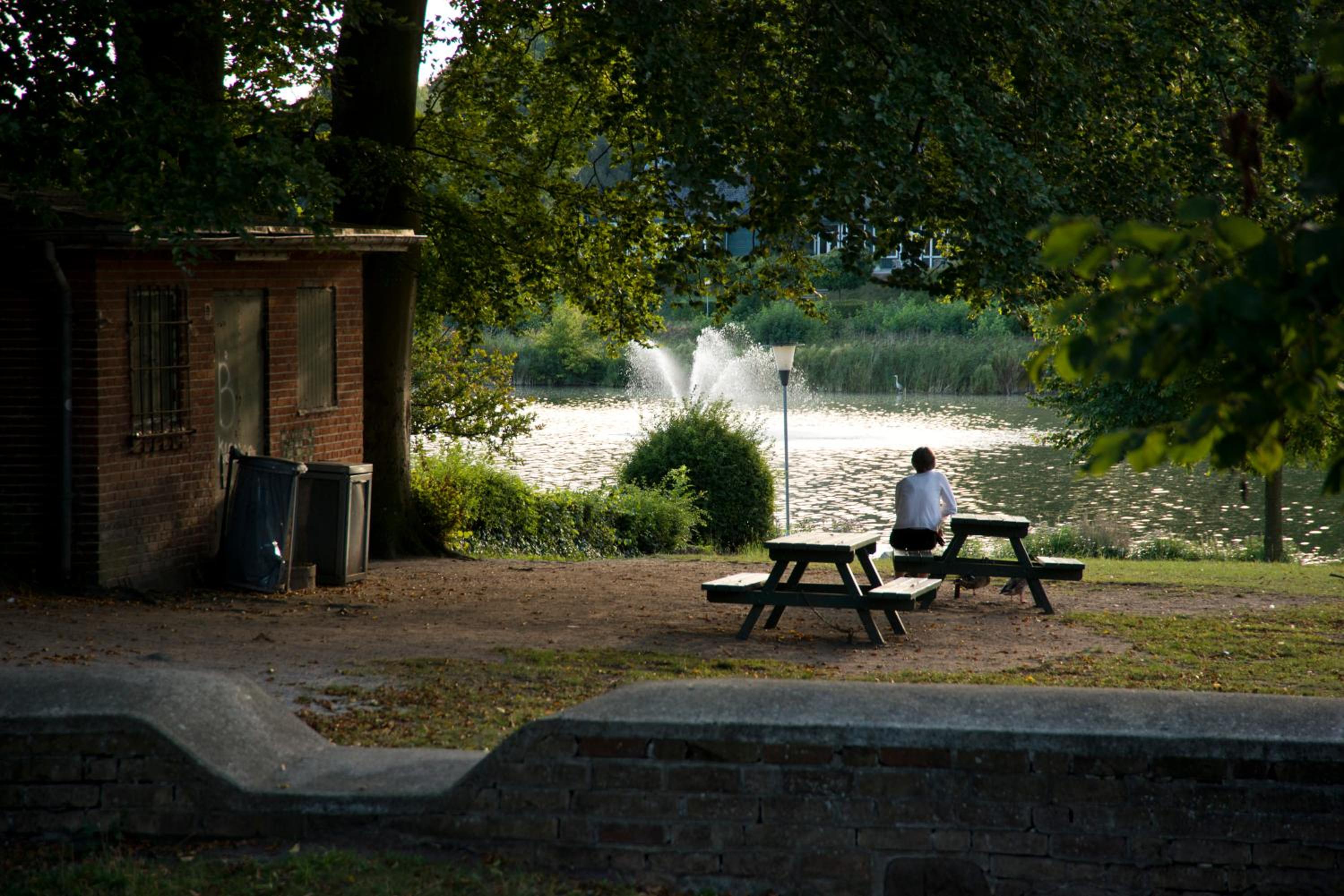 Photo 11