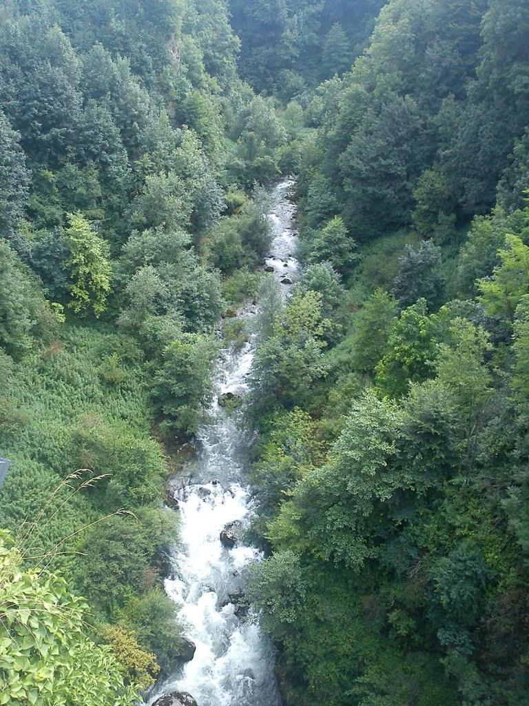 Photo 50