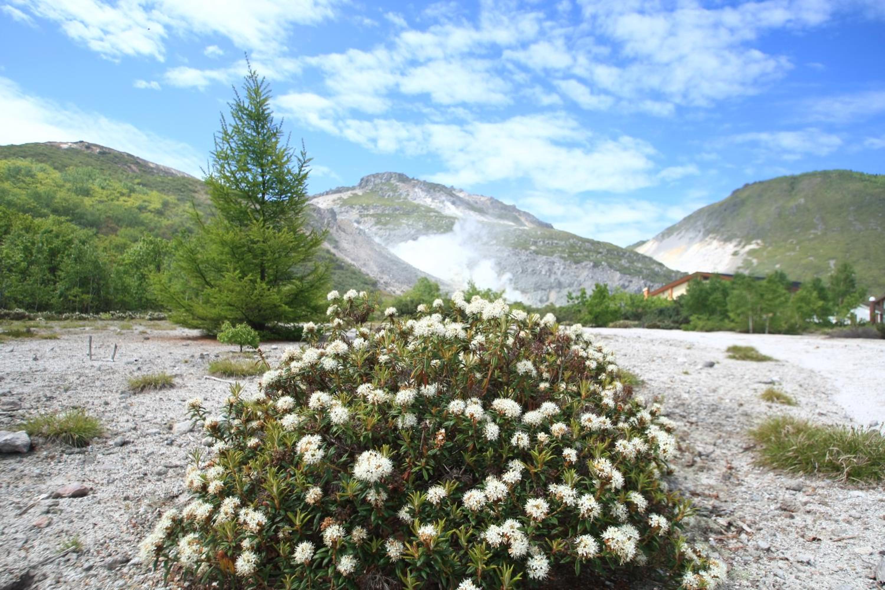 Photo 26