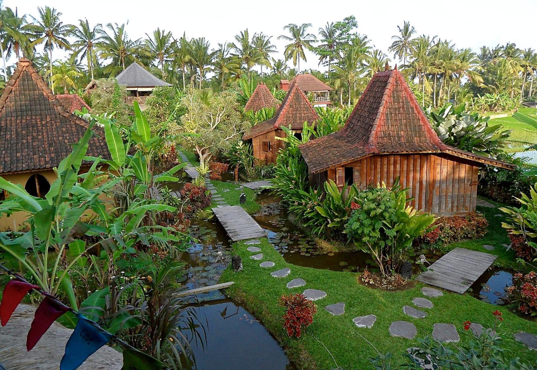 Dragonfly Village