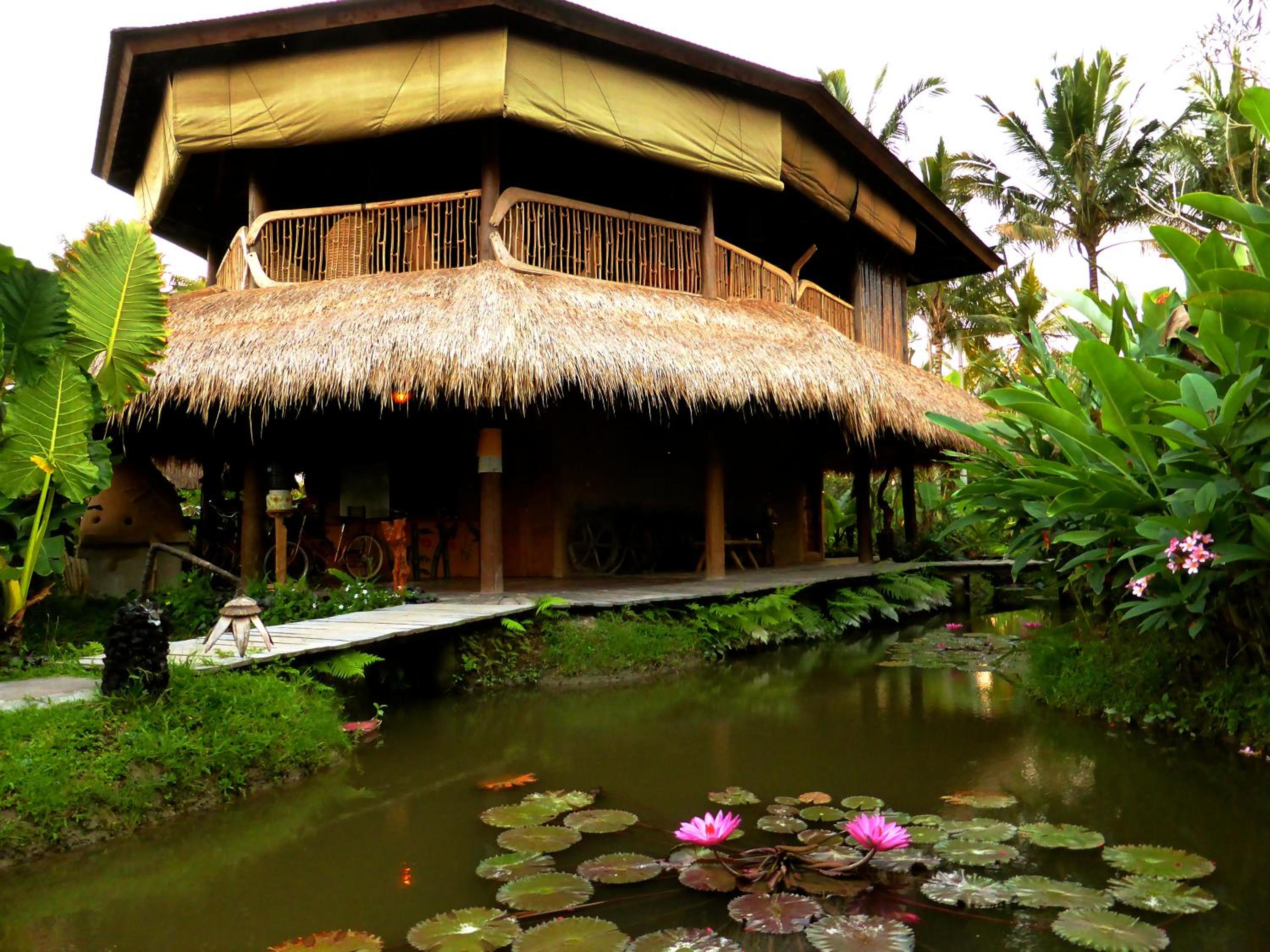 Dragonfly Village