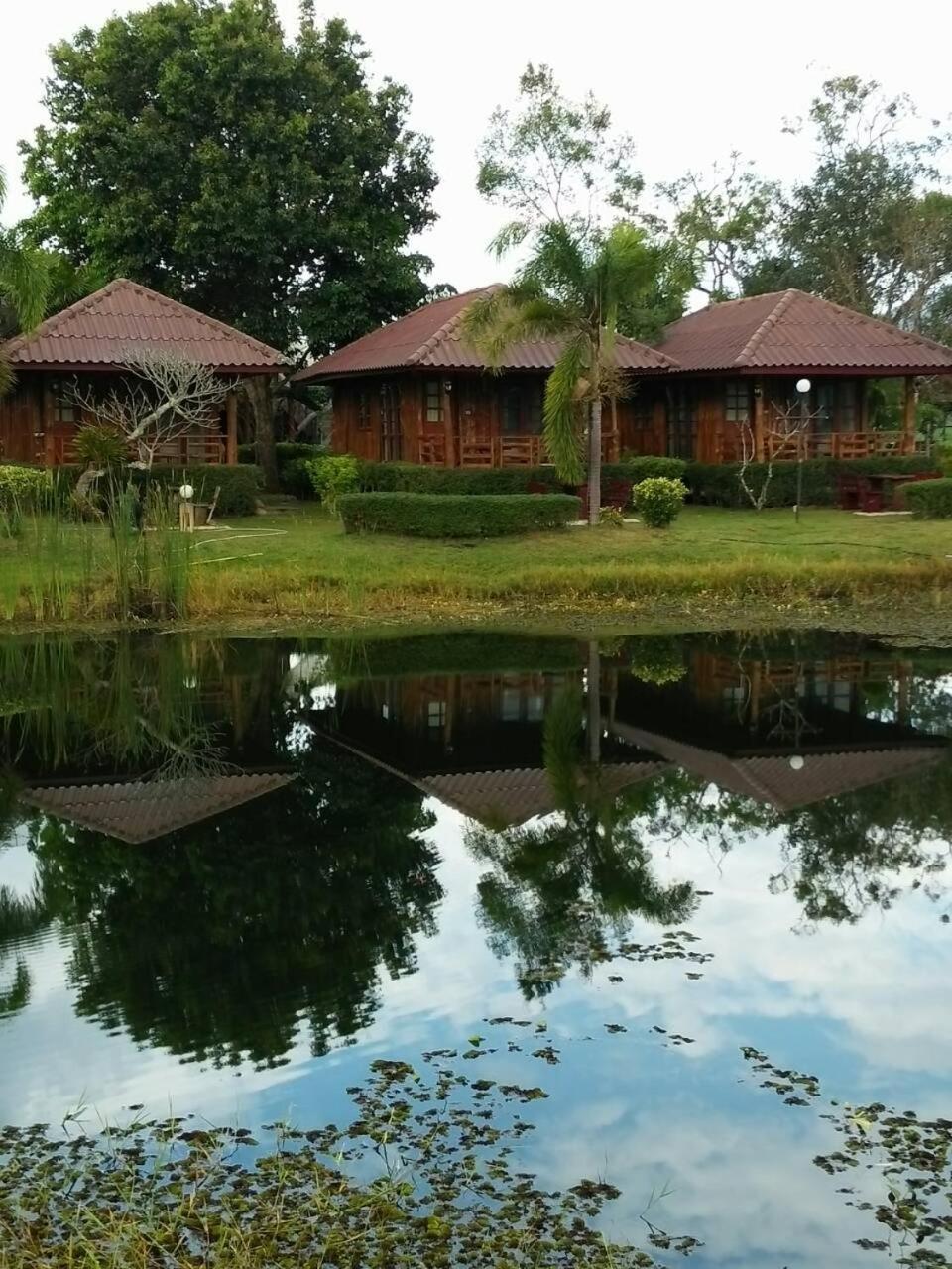 Busai Country View view 3