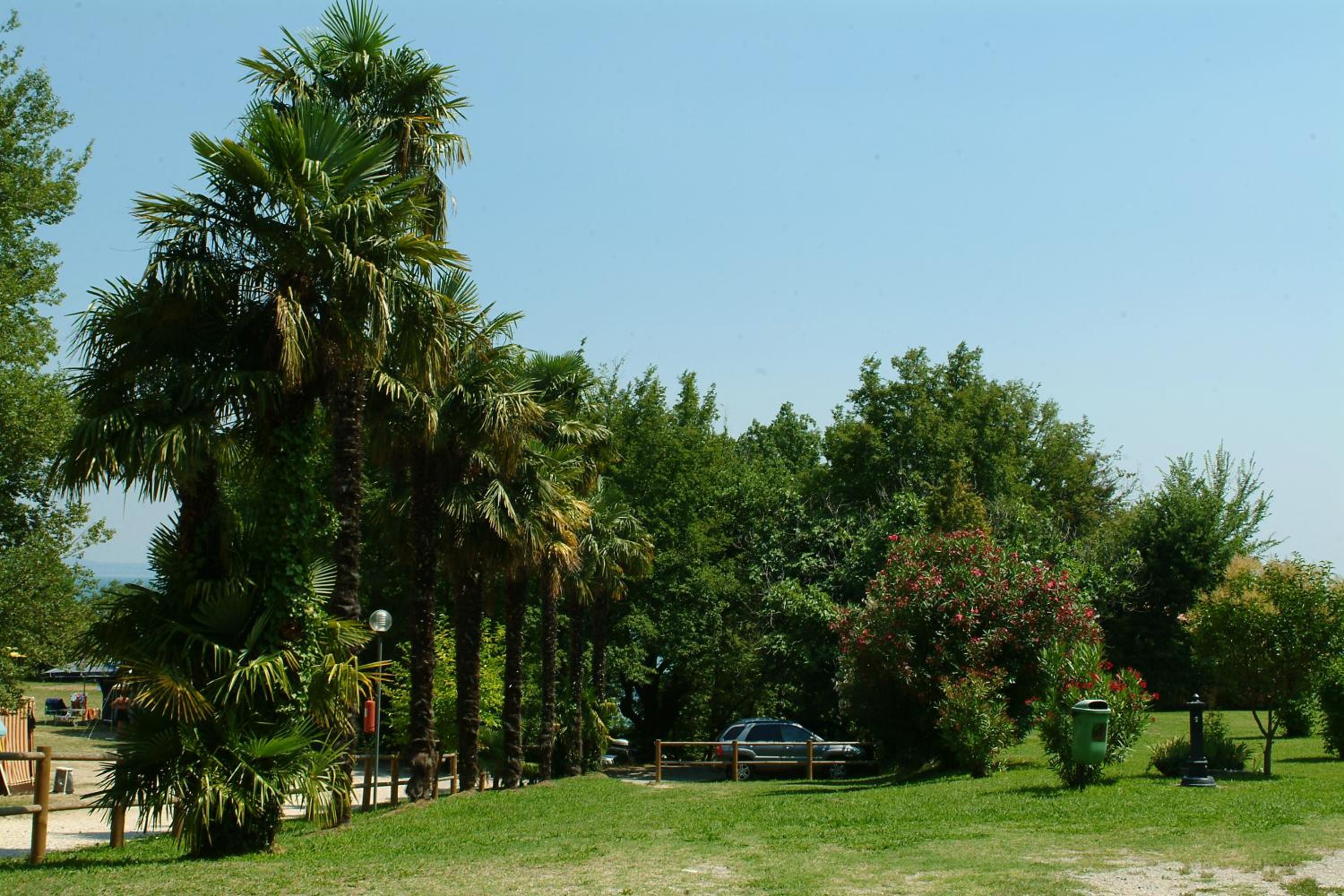 Photo 38