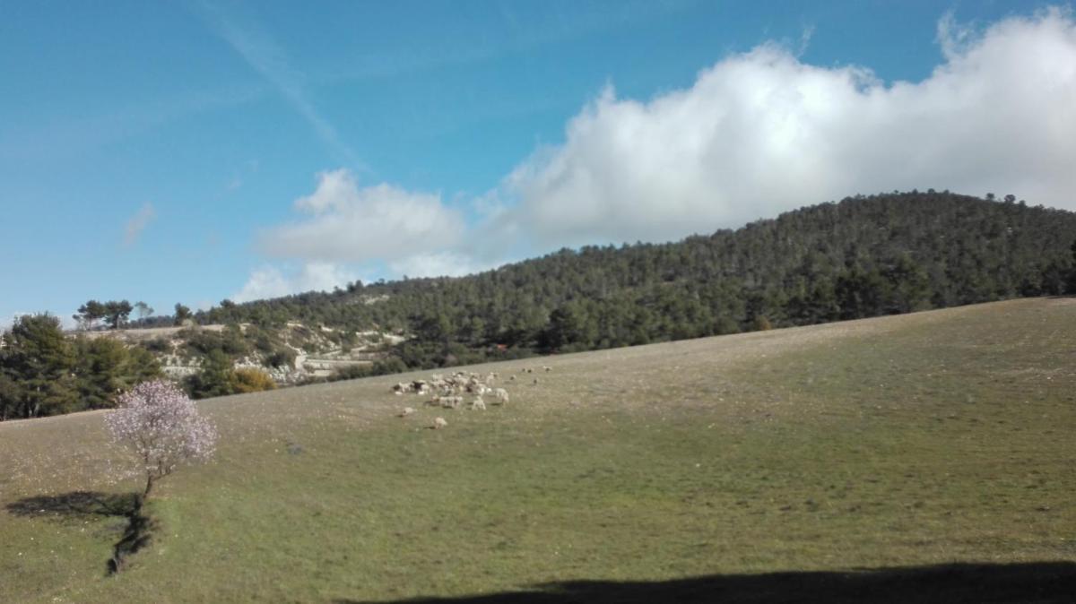Casa Rural Masía Barbera view 4
