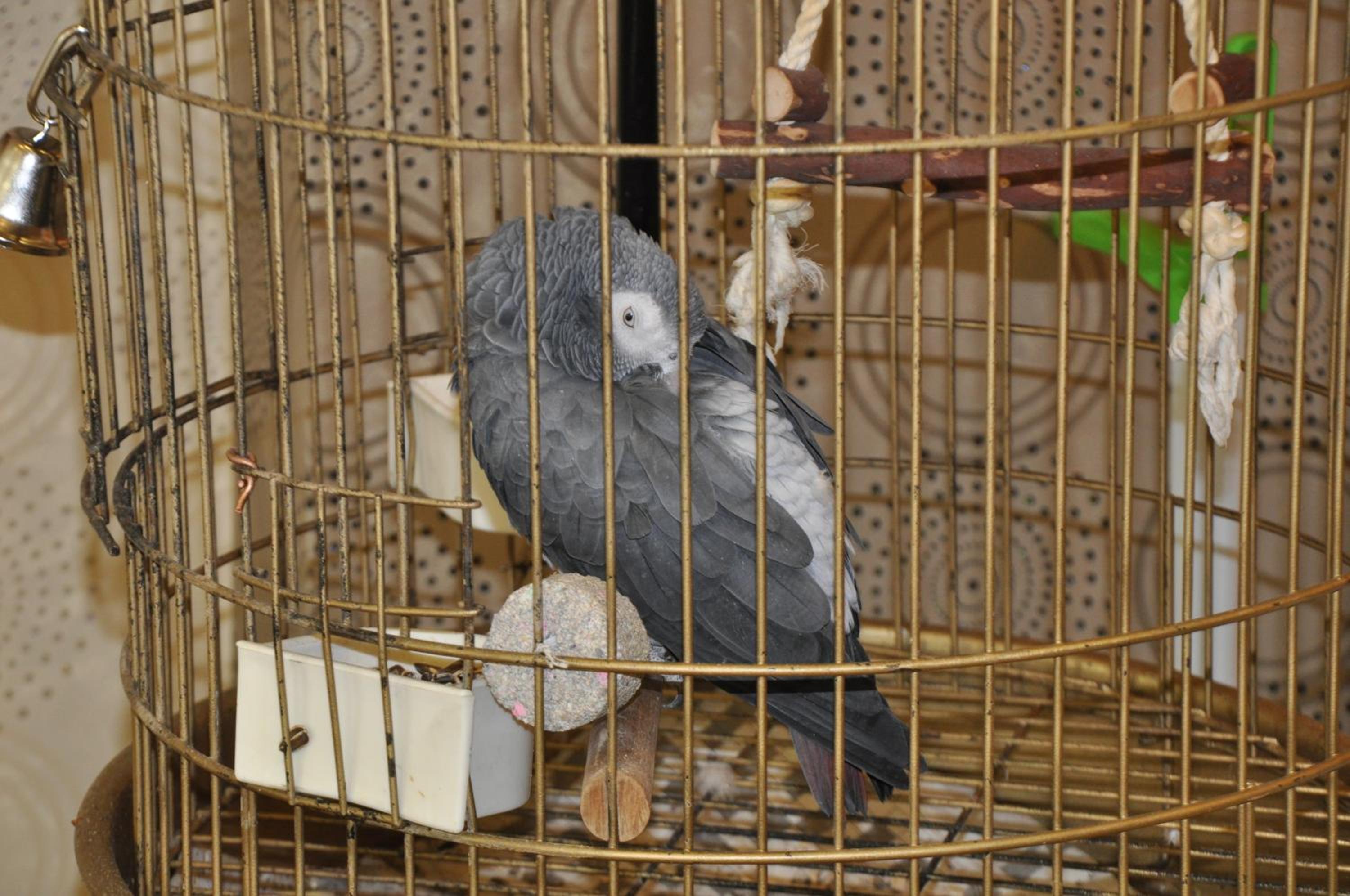 Akgun Hotel Beyazit - Image 19