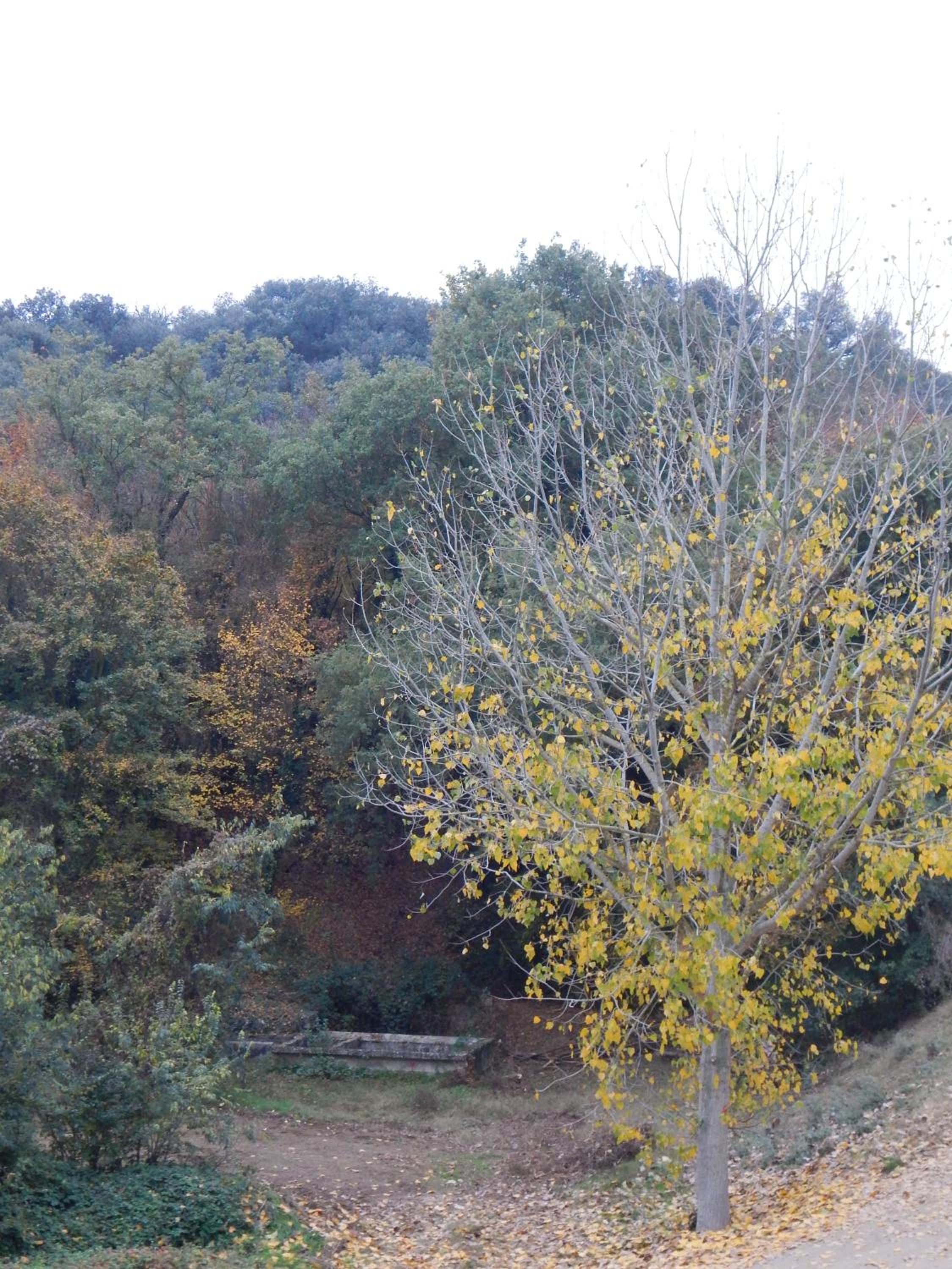 Casa Canut view 2