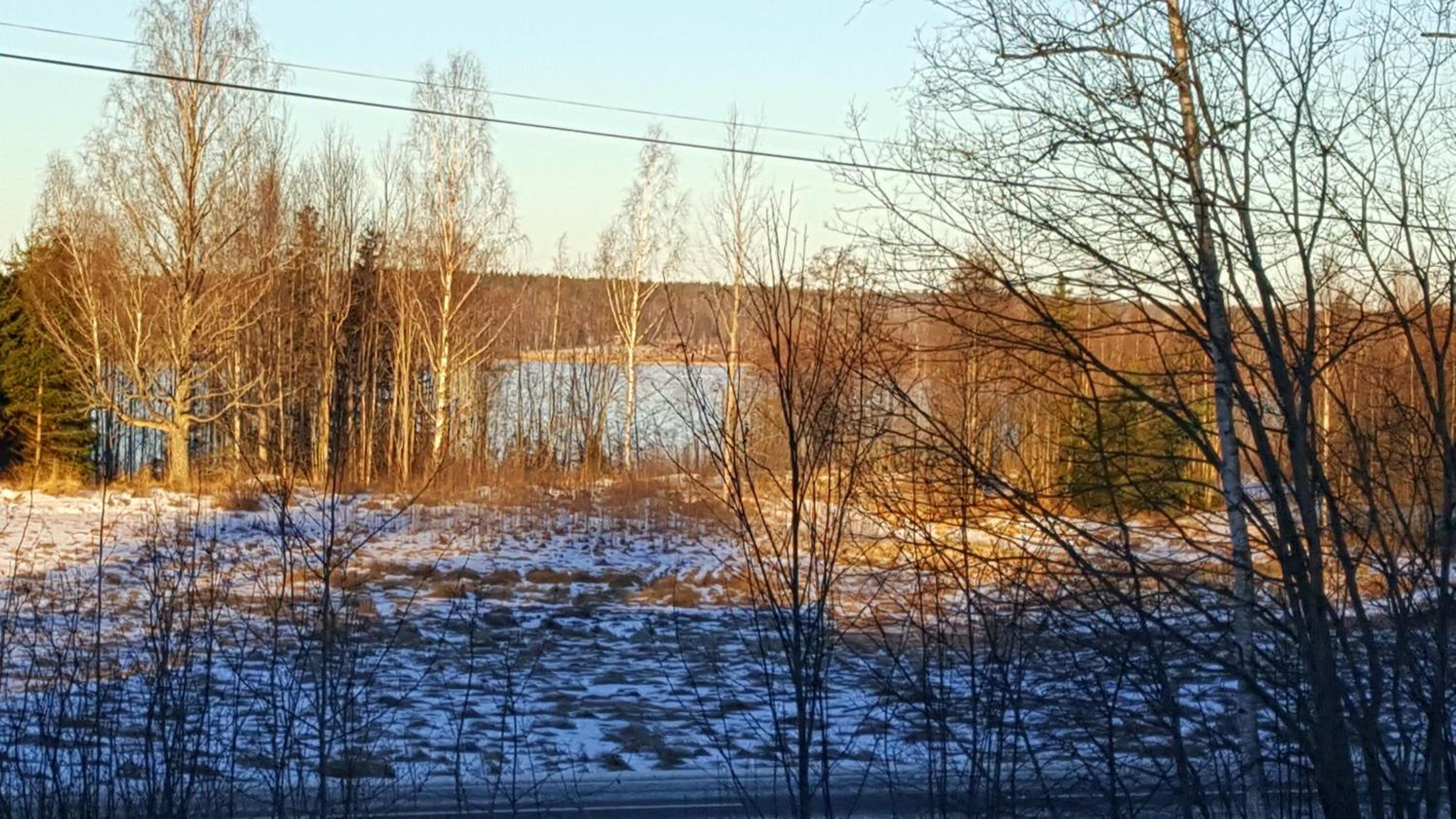 Photo 48