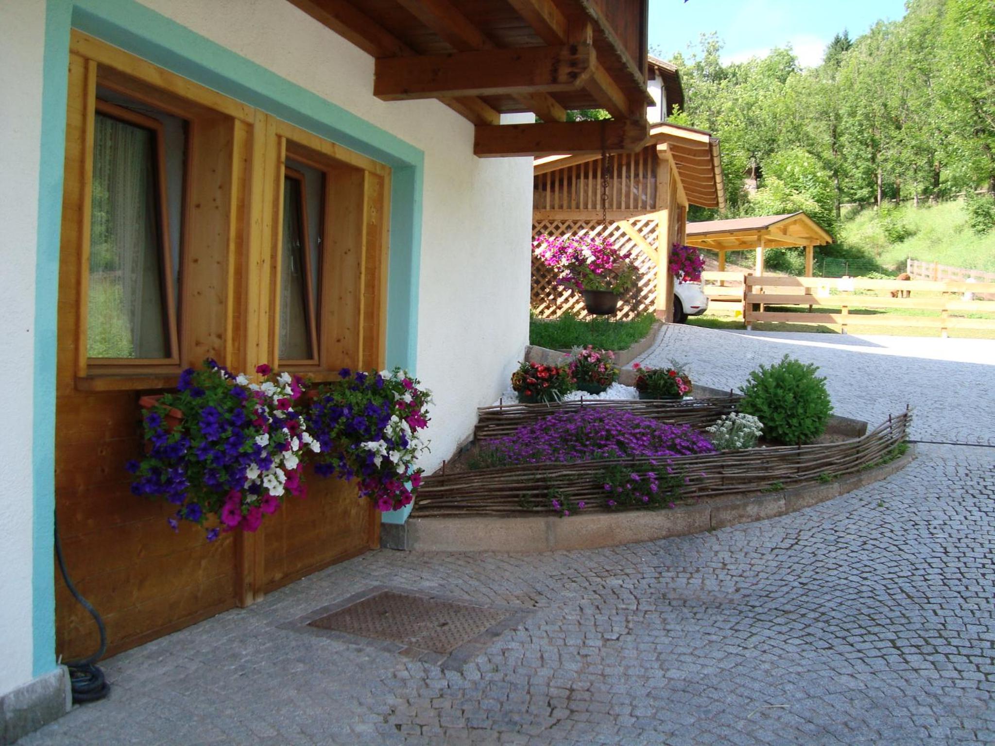 B&B El Molin view 3