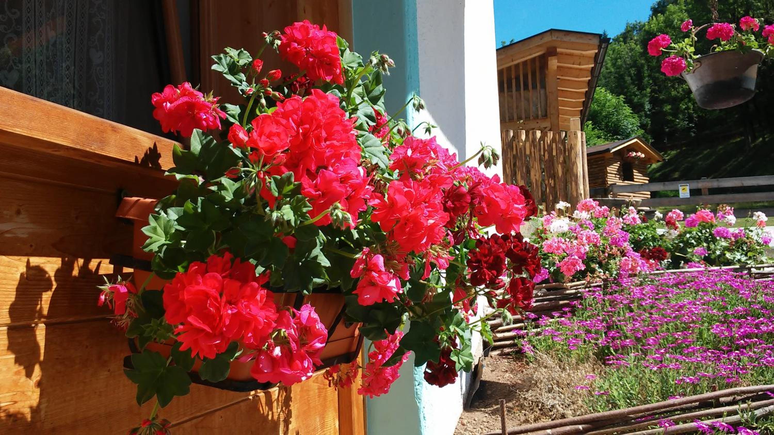 B&B El Molin view 4
