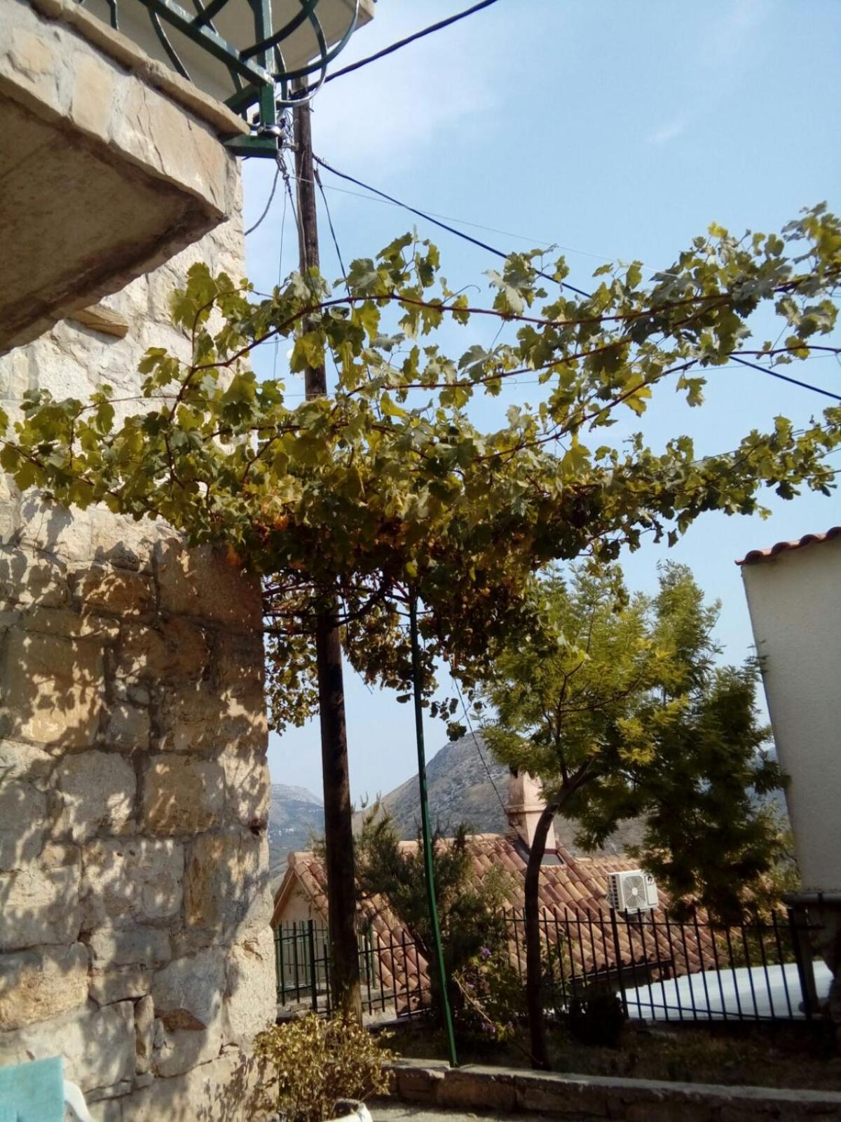 Photo 22
