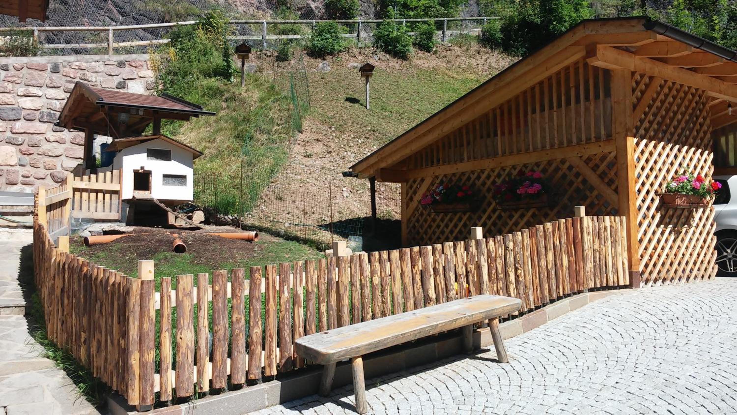 Photo 6