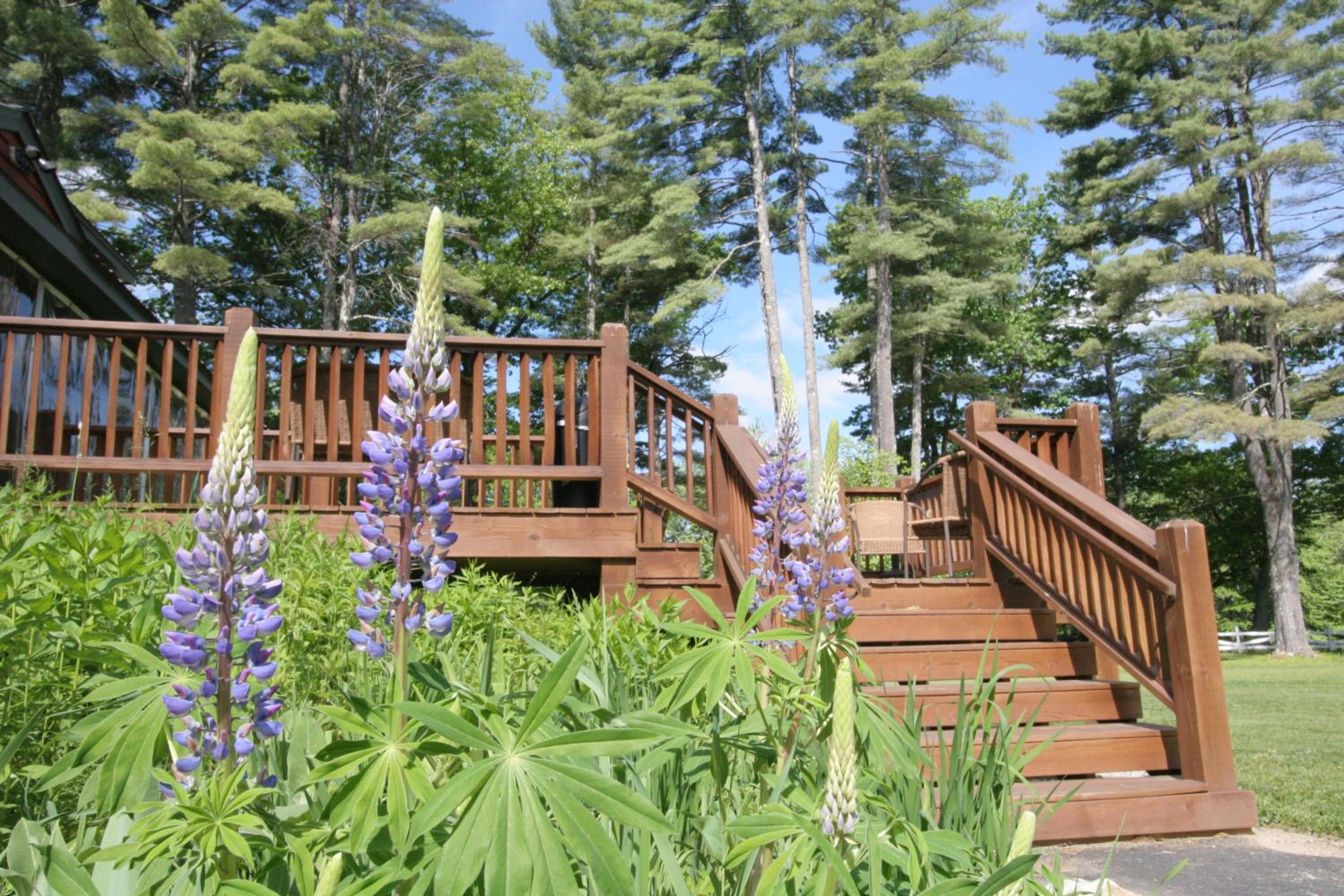 Old Saco Inn