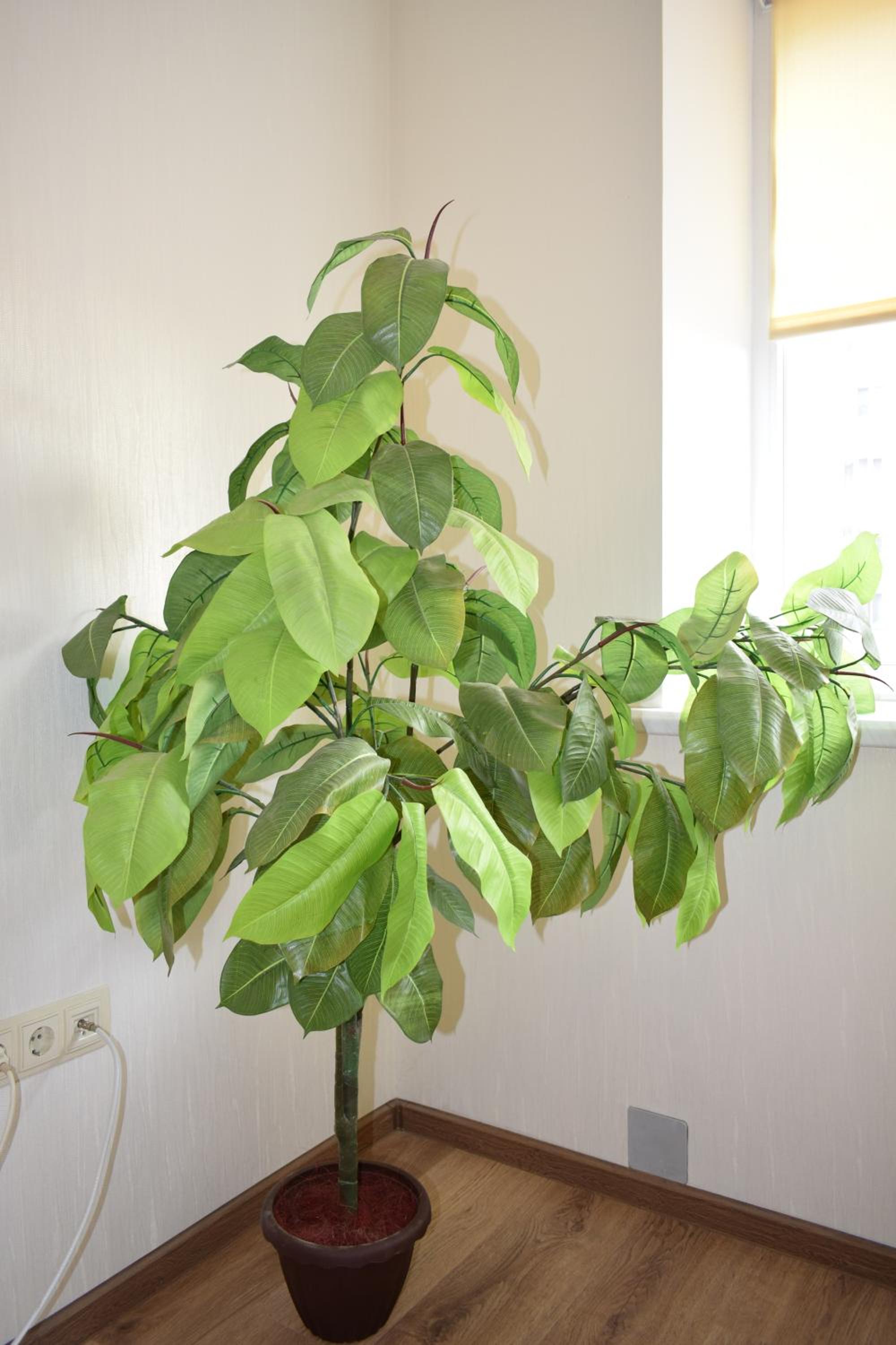 Photo 26