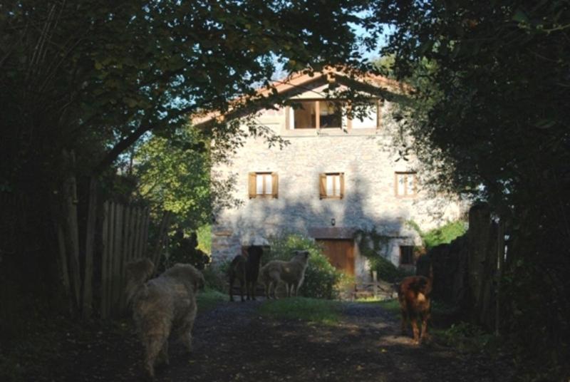 Photo 45