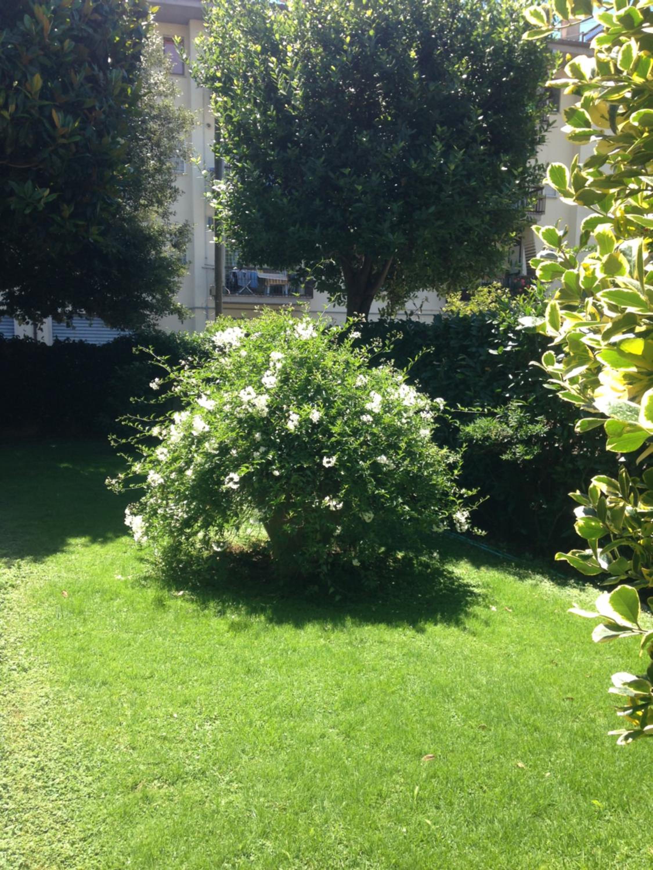 Inn Rome B&B