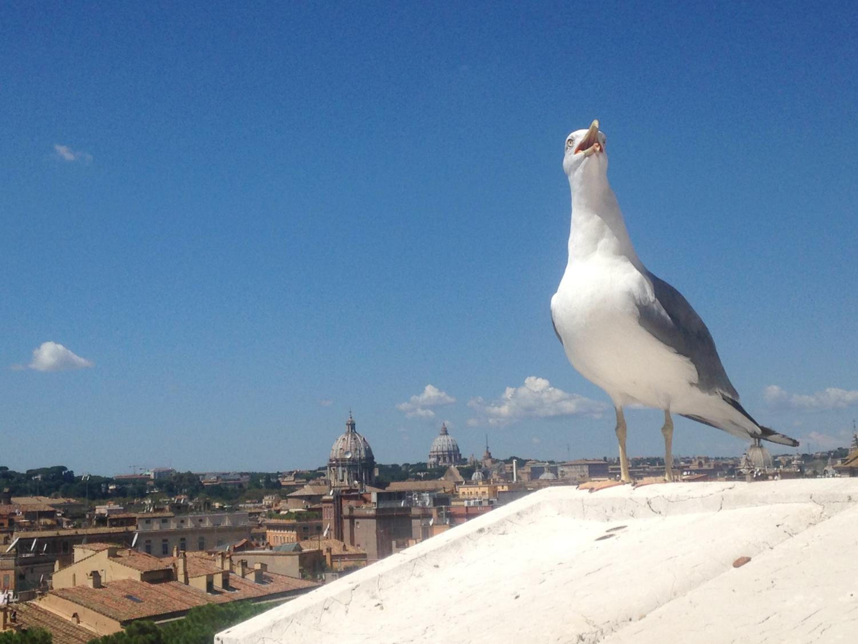 Inn Rome B&B