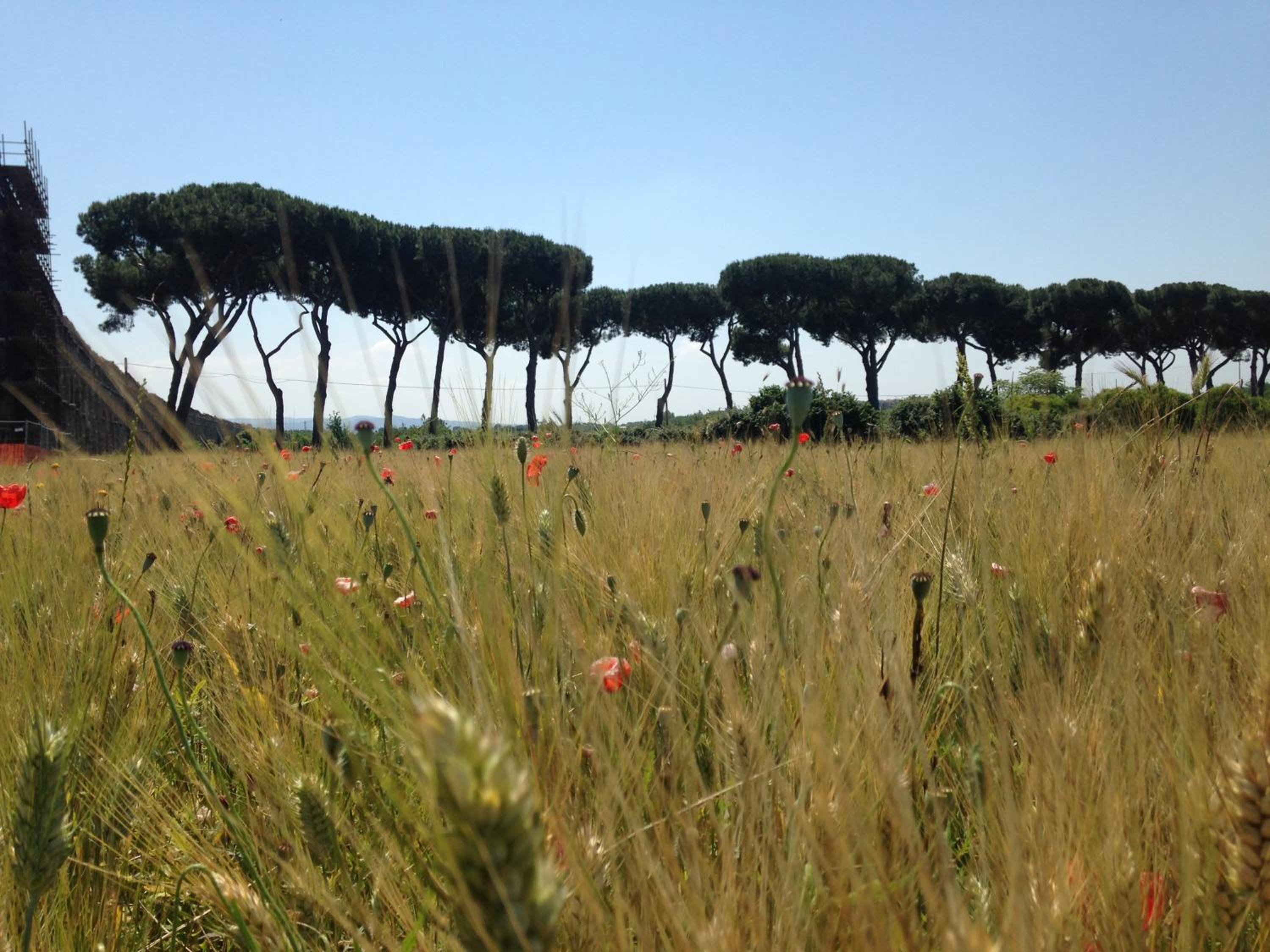 Inn Rome B&B