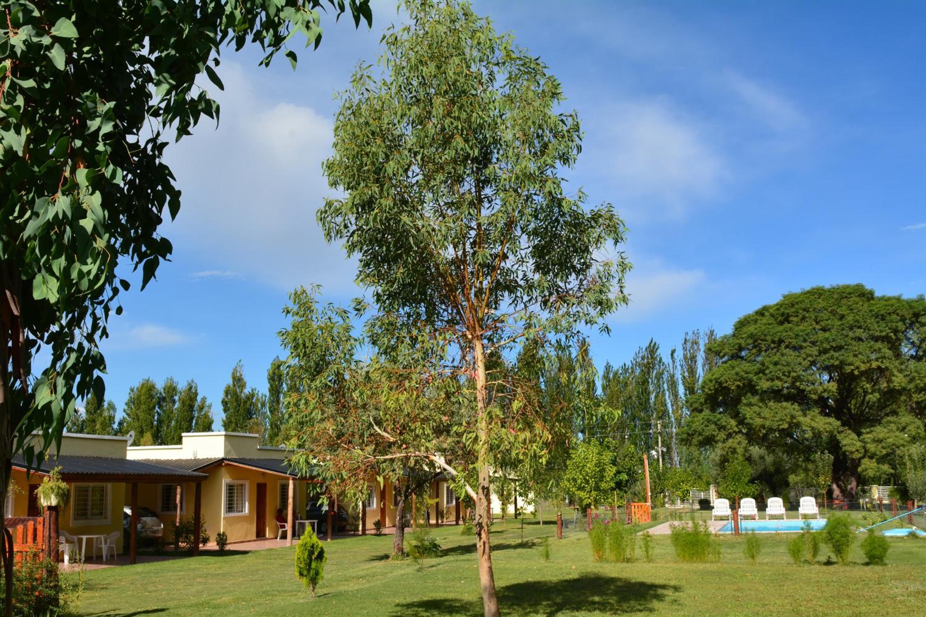 Ayres de Cuyo