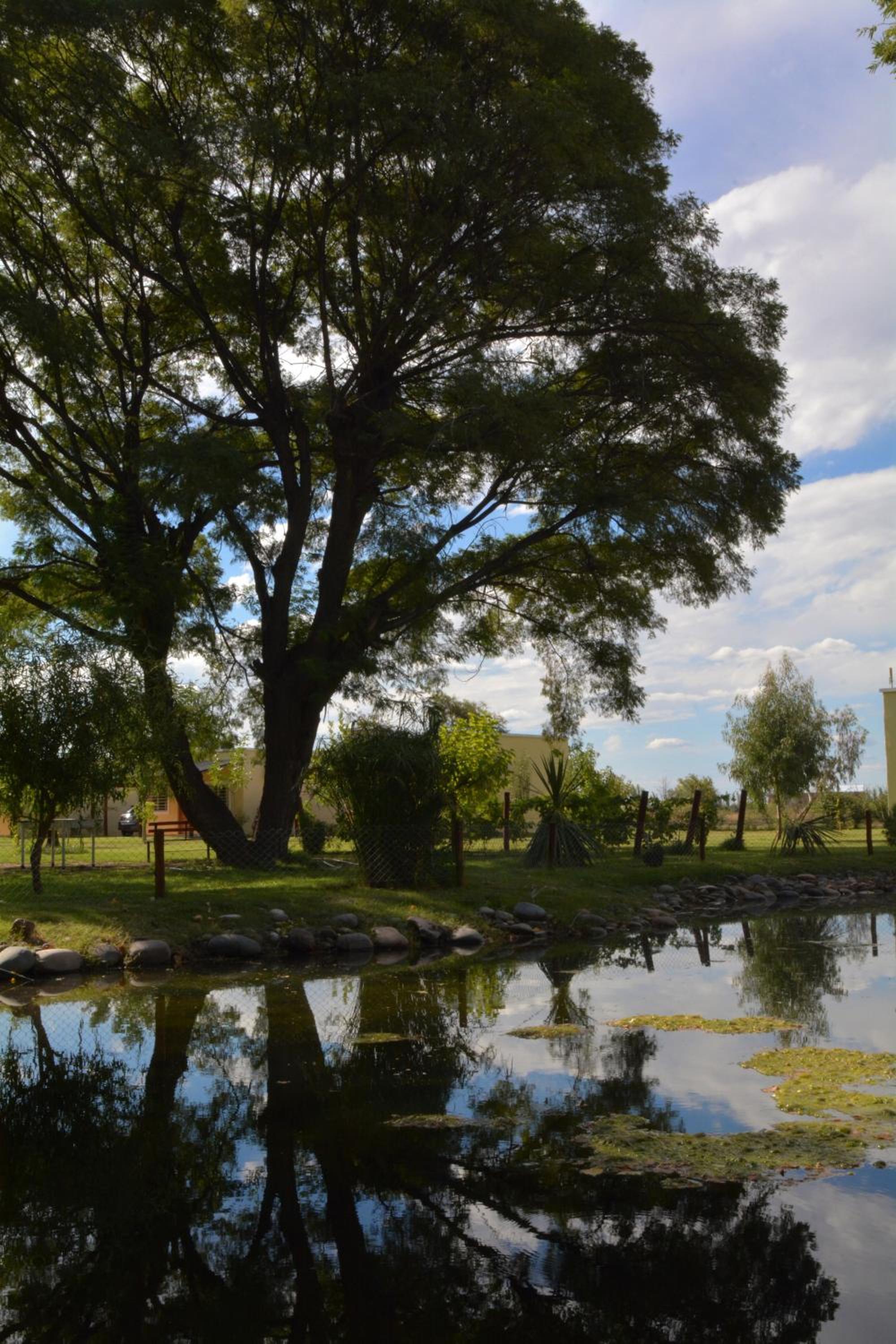 Ayres de Cuyo