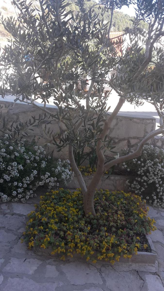 Photo 32