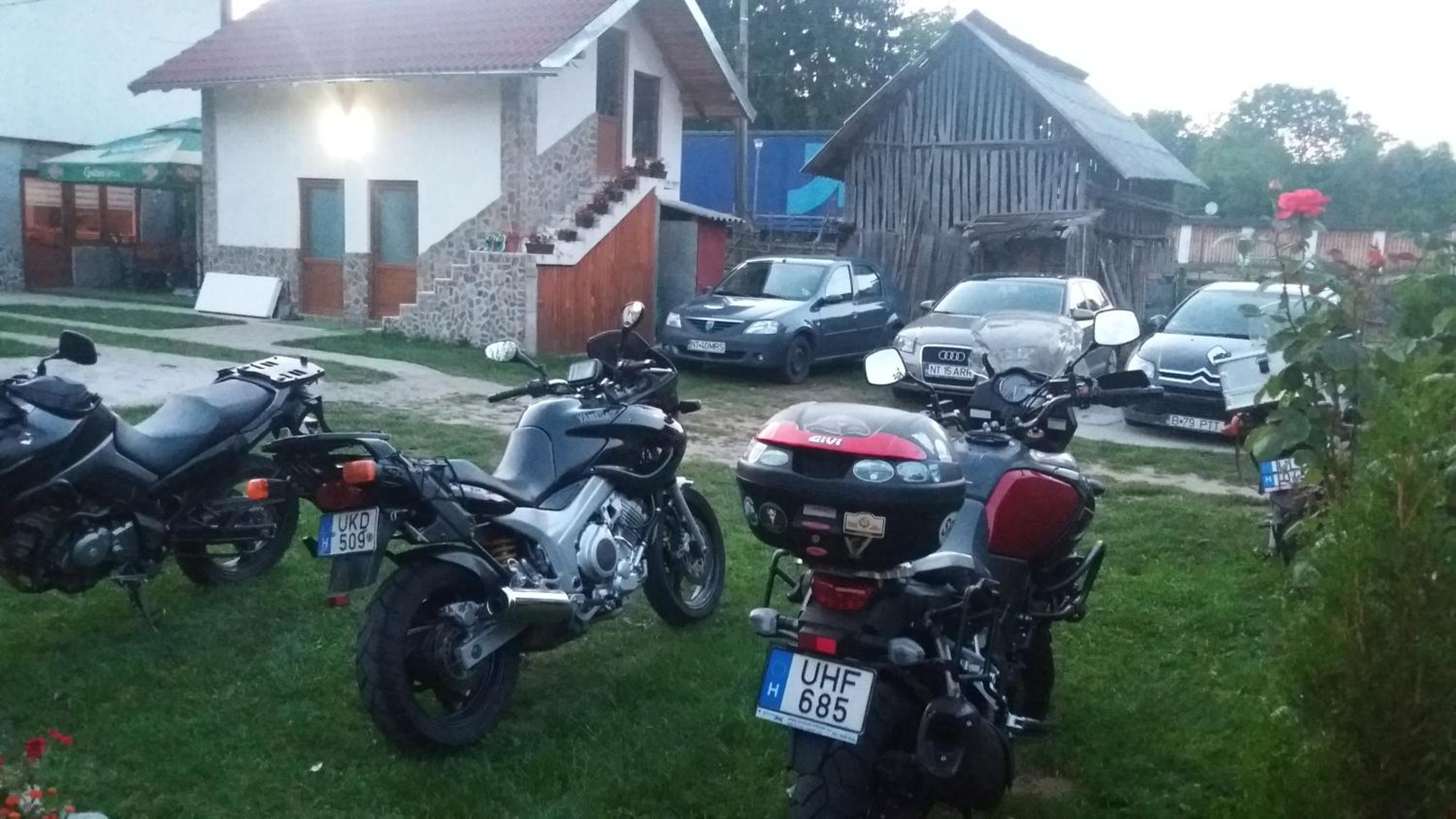 Photo 41