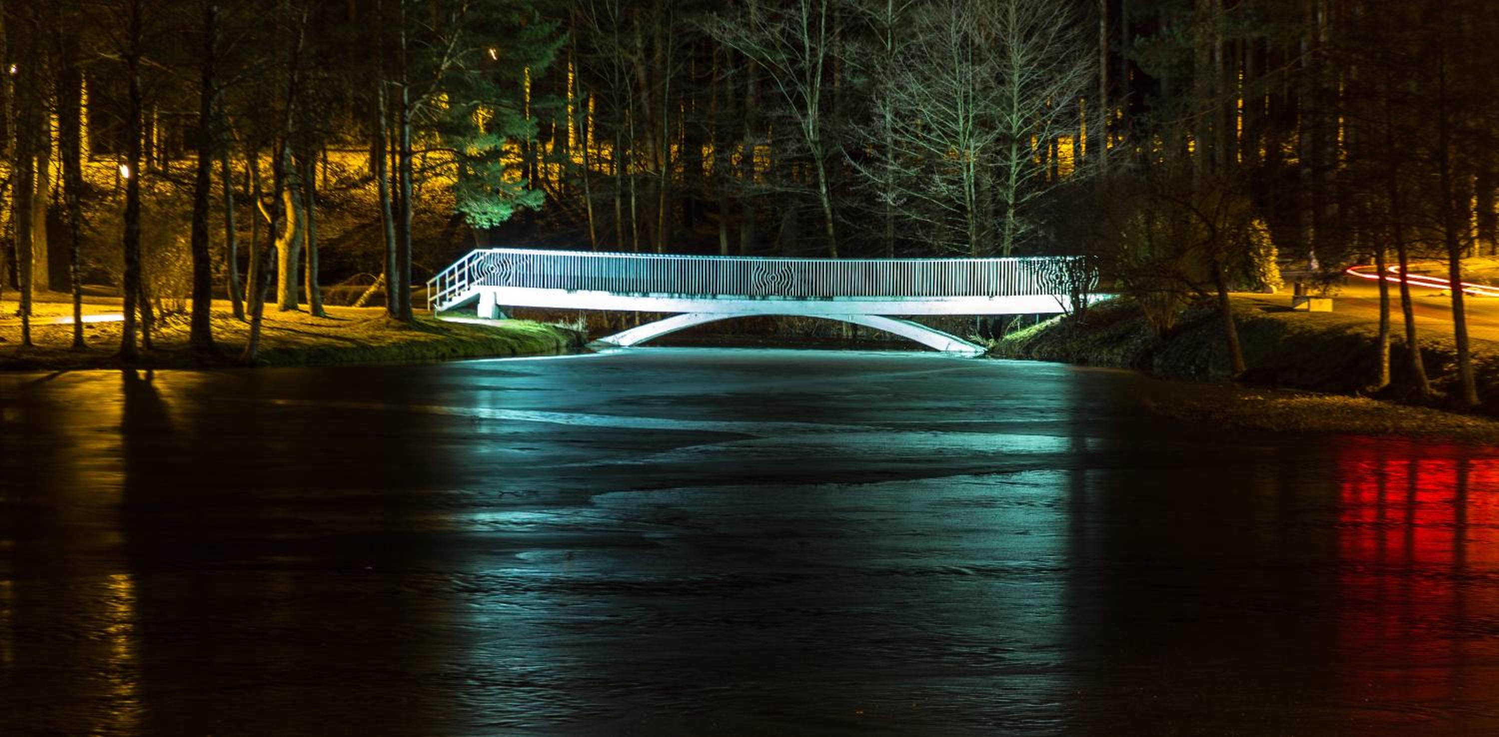 Photo 42