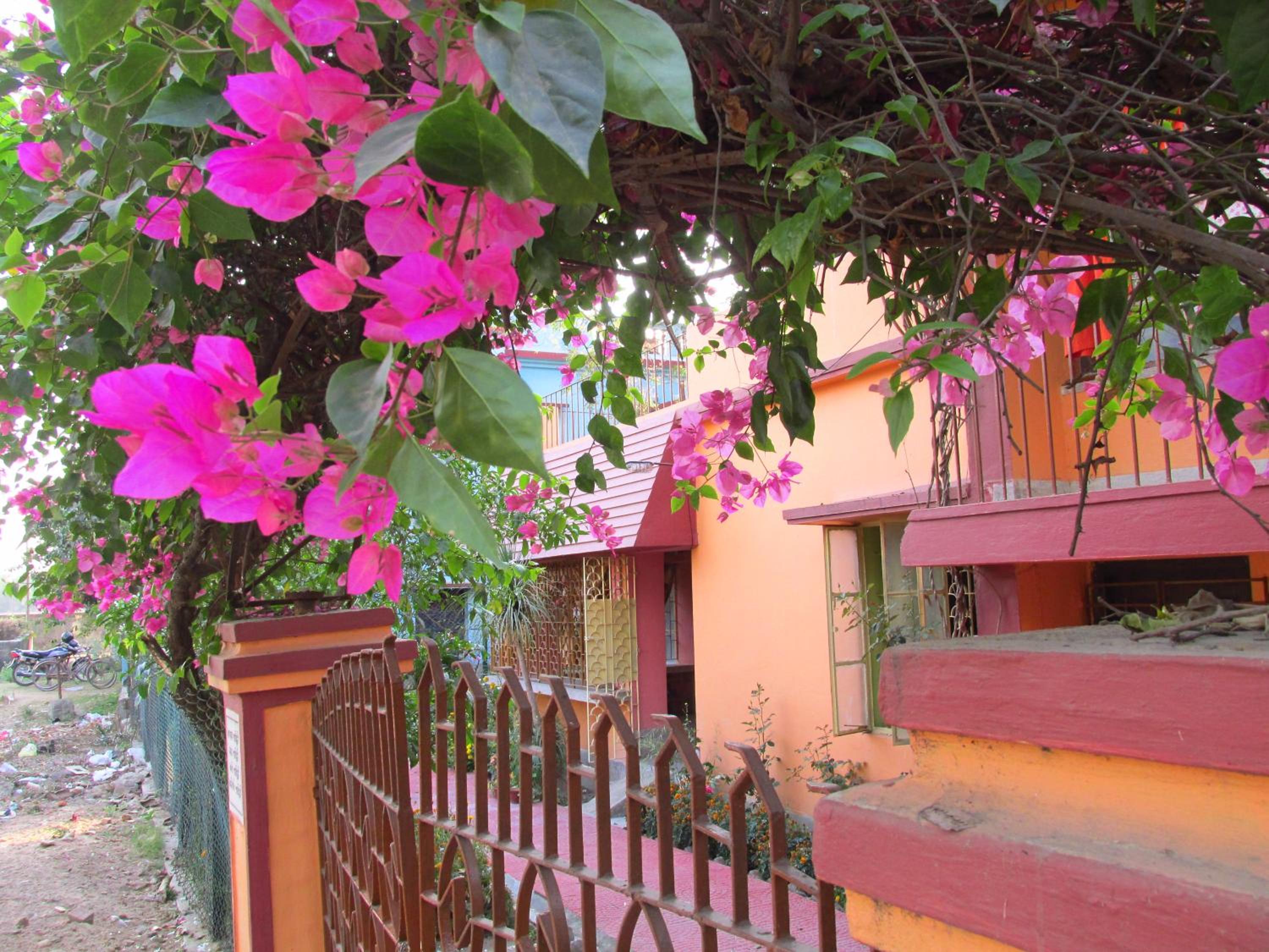 Pubali Homestay view 5