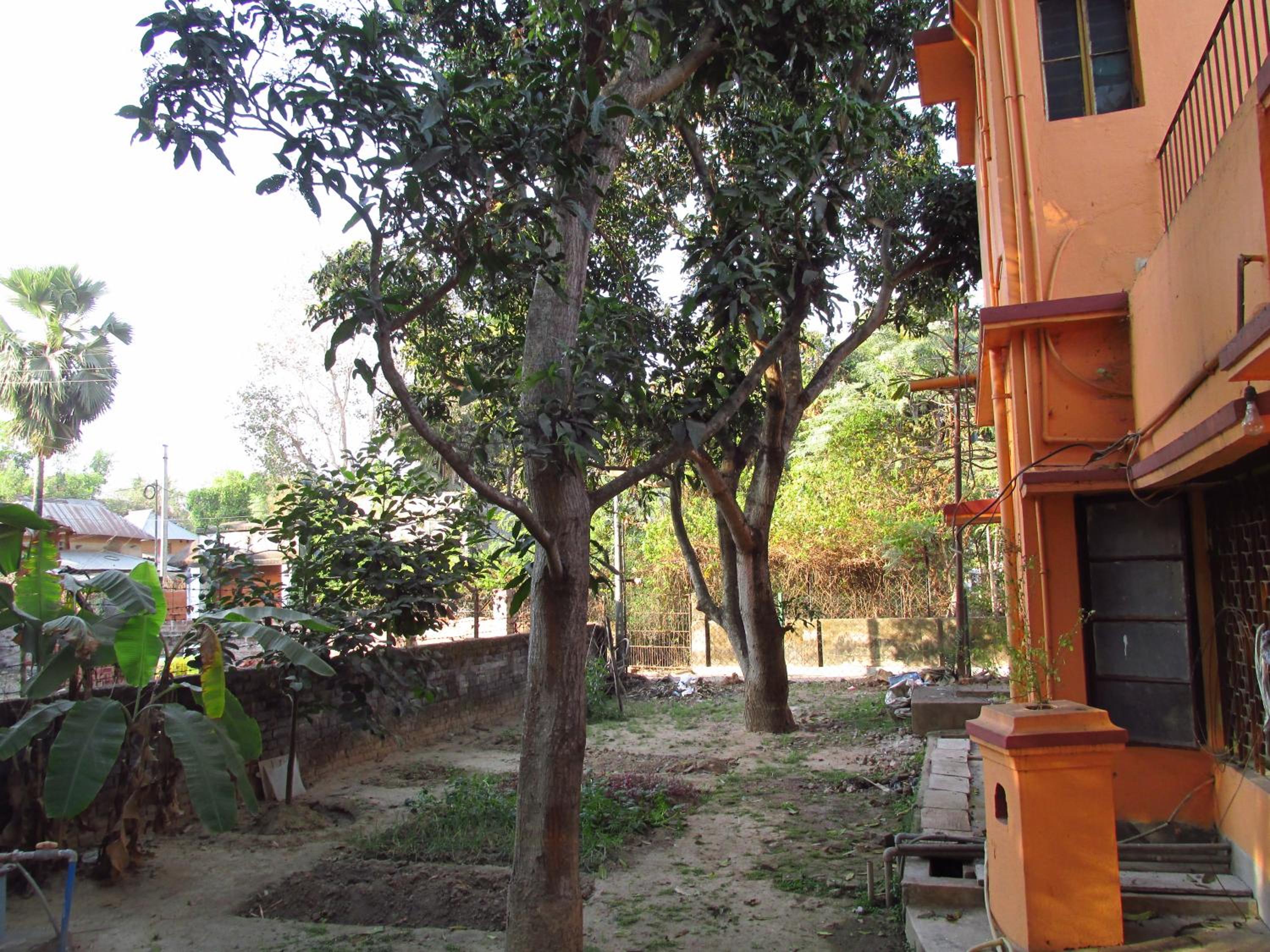 Photo 13